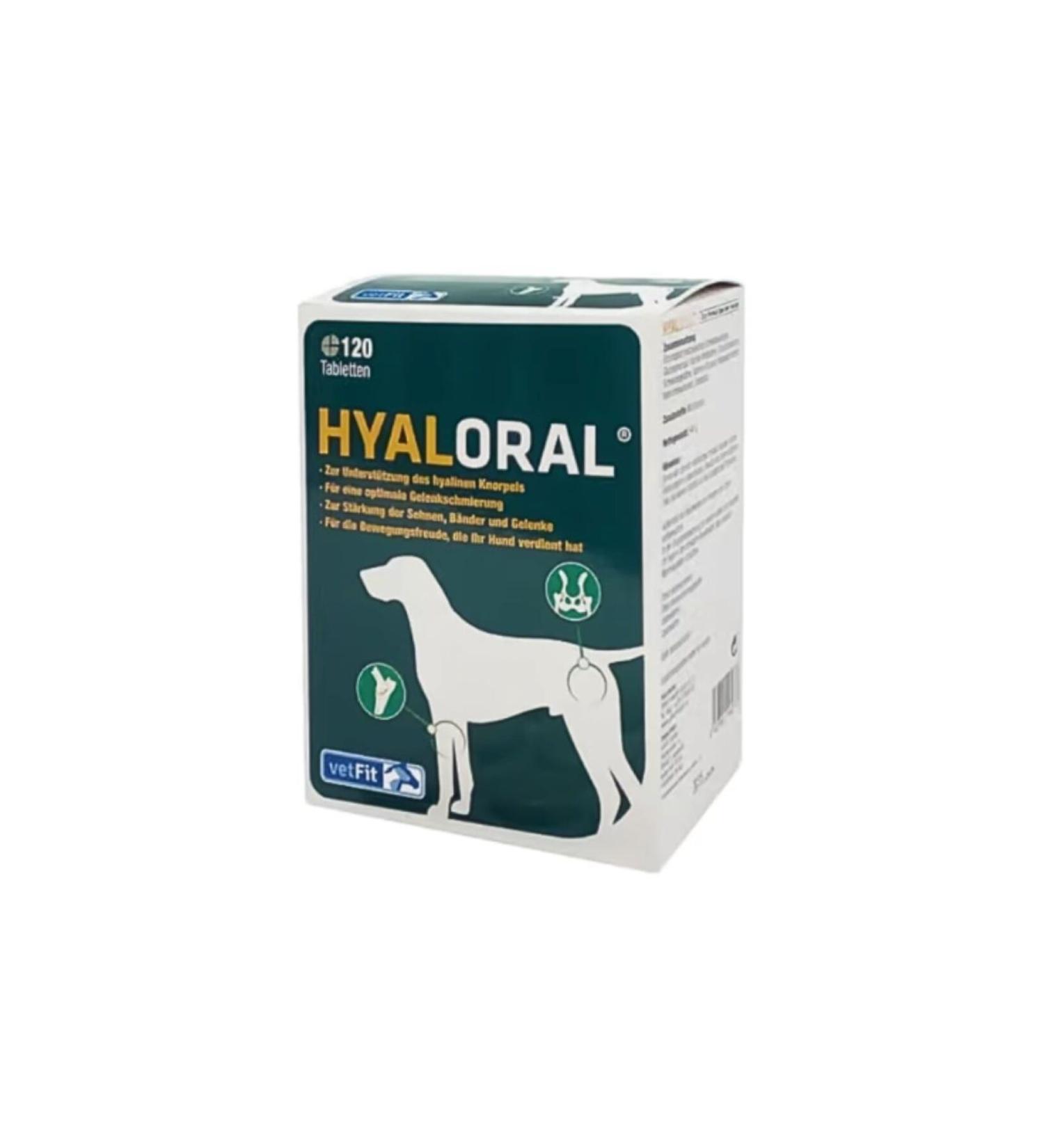 Hyaloral 120 tablets