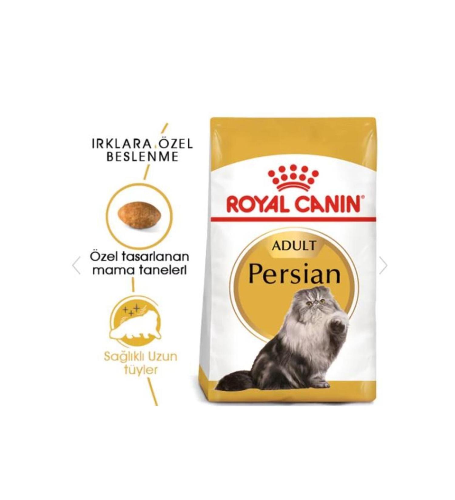 Royal Canin Adult Persian Iranian Cats Special 4 Kg Adult Dry Cat Food - Buy Online on GoSupps.com
