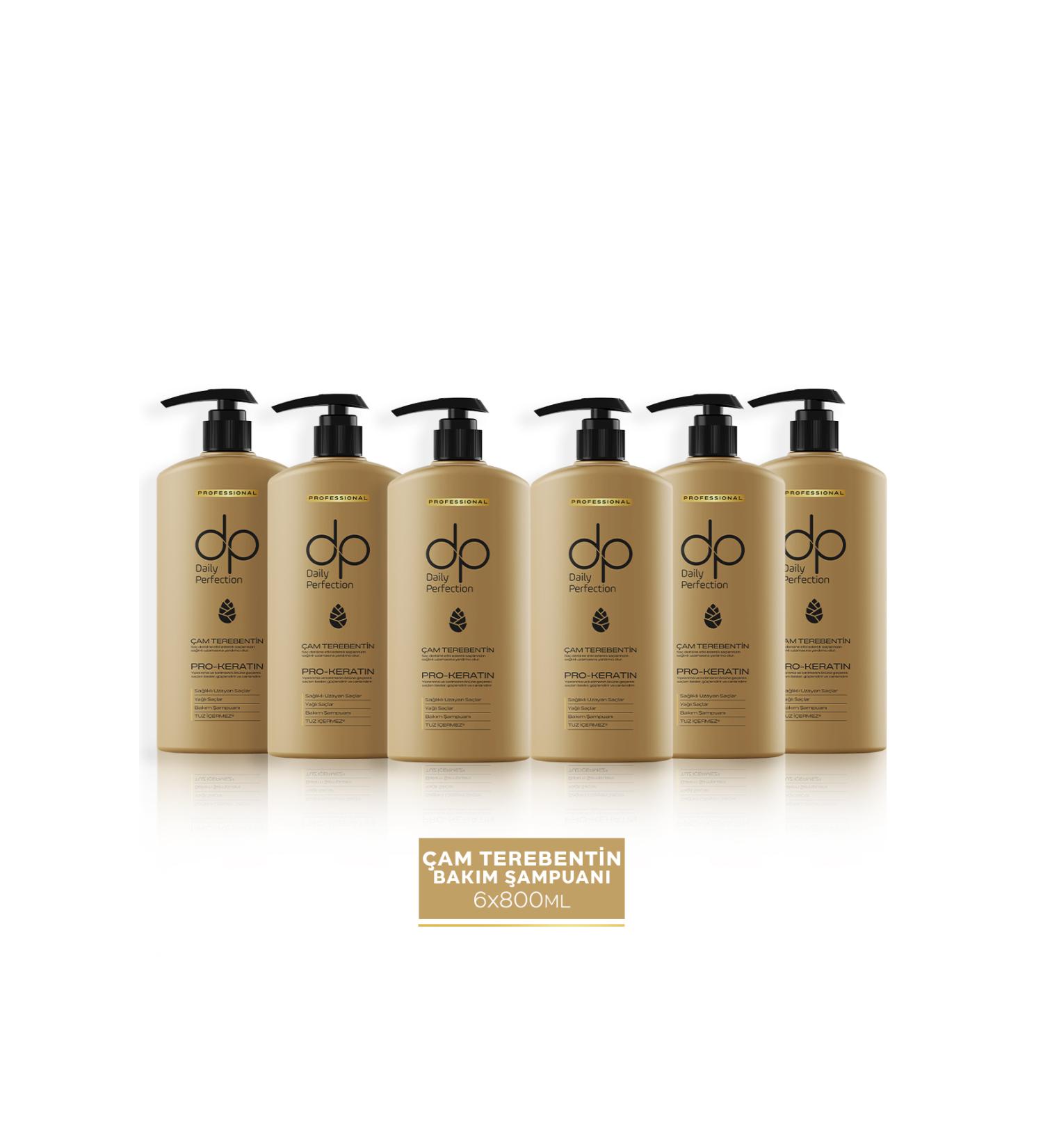 dp Daily Perfection Shampoo Pine Turpentine 800 ml X 6 Pieces - Buy Online on GoSupps.com