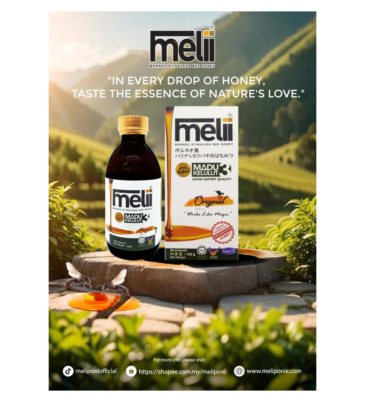 Melii Meliponini Stingless Bee Honey 120gr