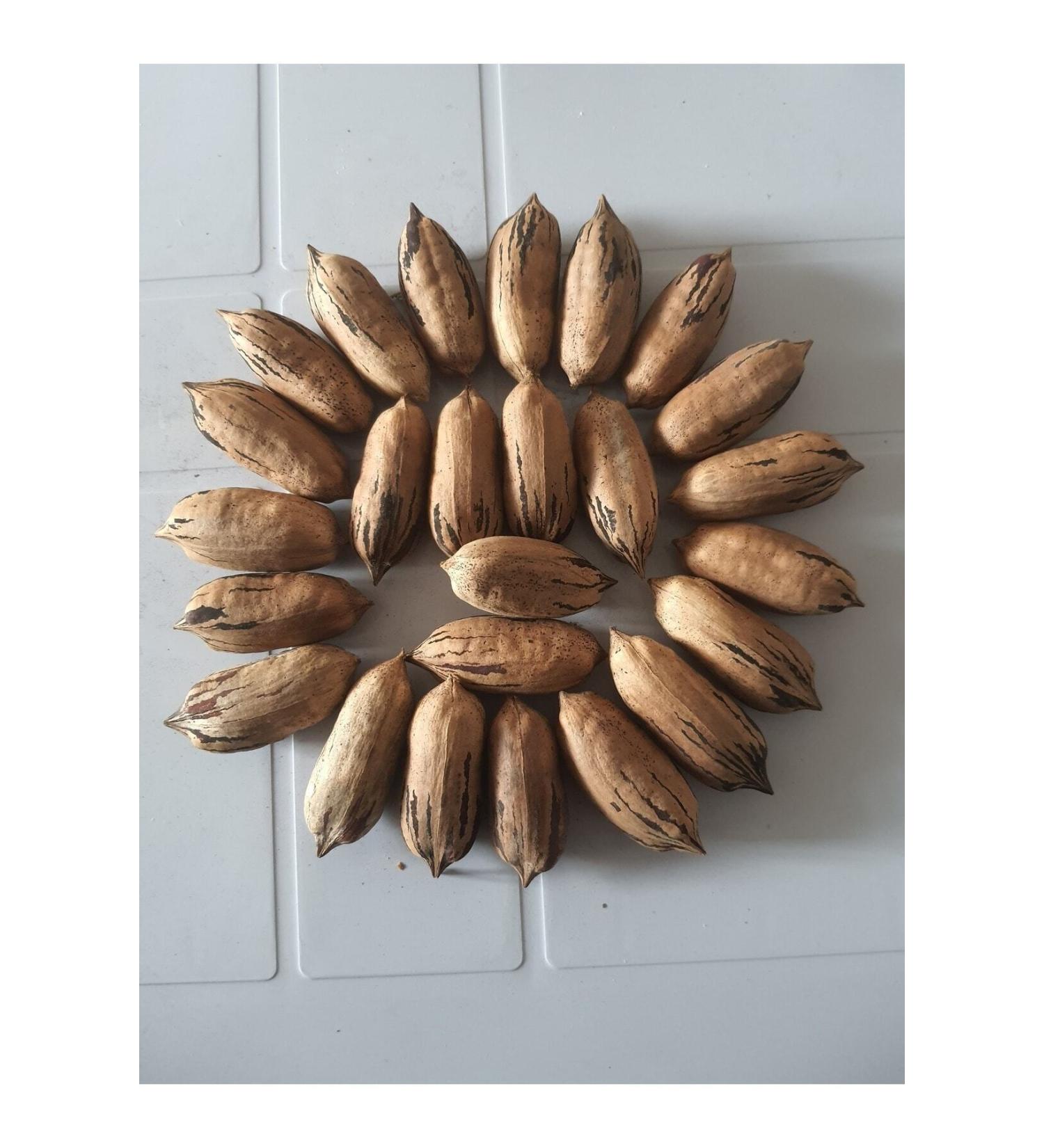 zeytinta - Pecan Jumbo Long Size 2kg