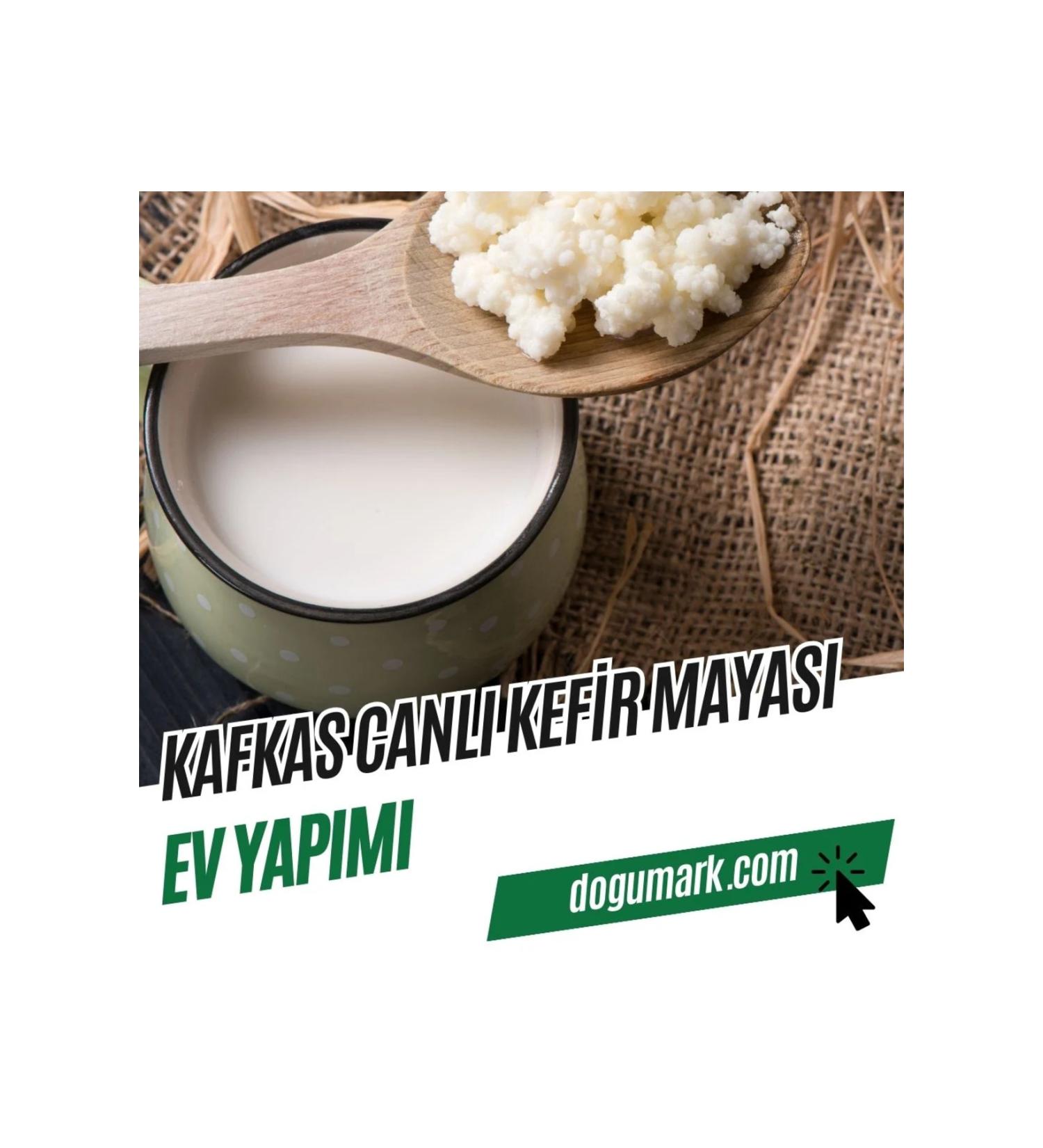 DoguMark Caucasian Live Kefir Yeast - Homemade (7g) - Buy Online on GoSupps.com