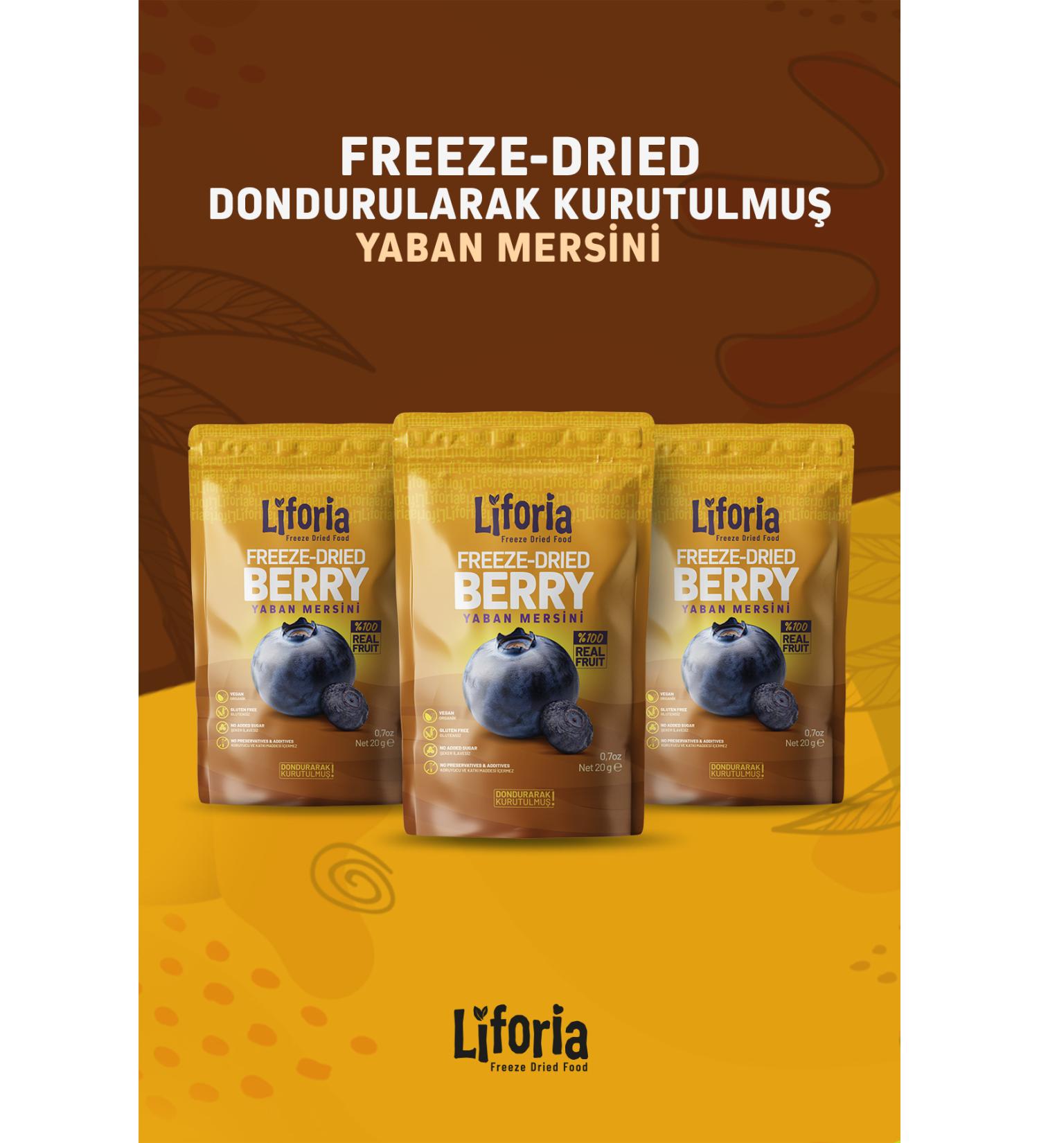 Liforia 3 Pack - Freeze Dried Blueberry Grain 20gr