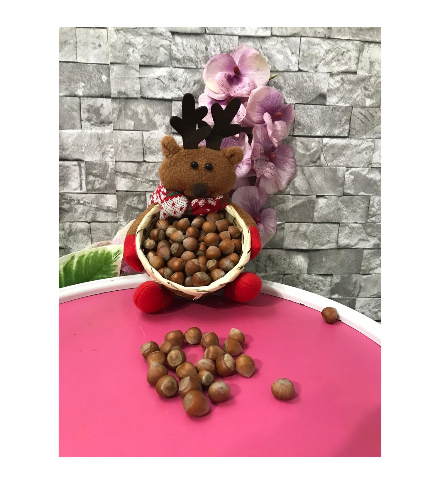 RADGX 1 kg Hazelnuts in Shell + Hazelnut Basket with Bear - Buy Online on GoSupps.com