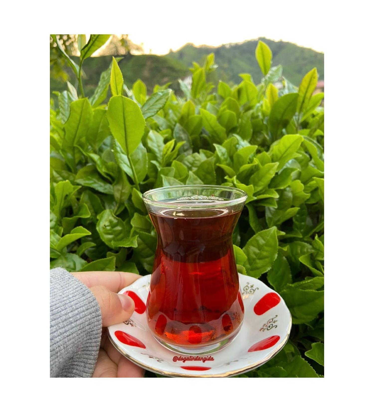 Natural Black Tea First Harvest 1 KG (QUALITY PRODUCTION) - Buy Online on GoSupps.com