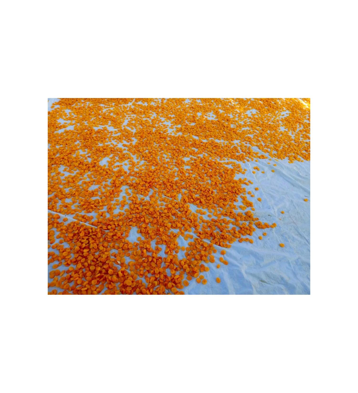 APRICOT FROM THE EARTH 2 KG