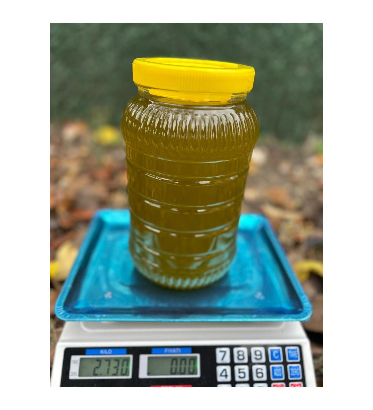 OLIVE FROM THE BRANCH - Buy Online on GoSupps.com