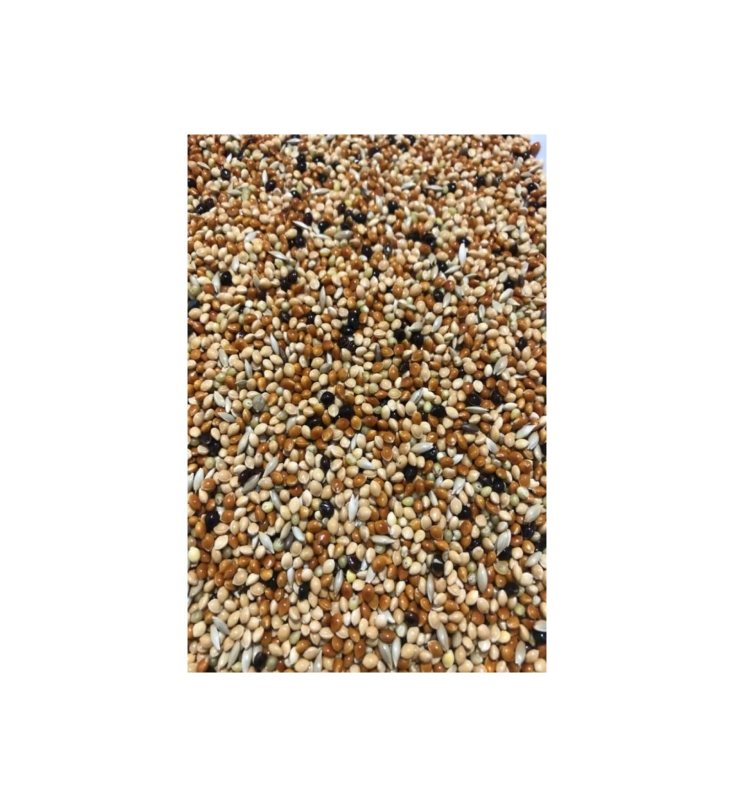 EGATOPTAN Budgie Food Mixed Vitamin 5 KG - Fruitless New Crop Pure Bird Food