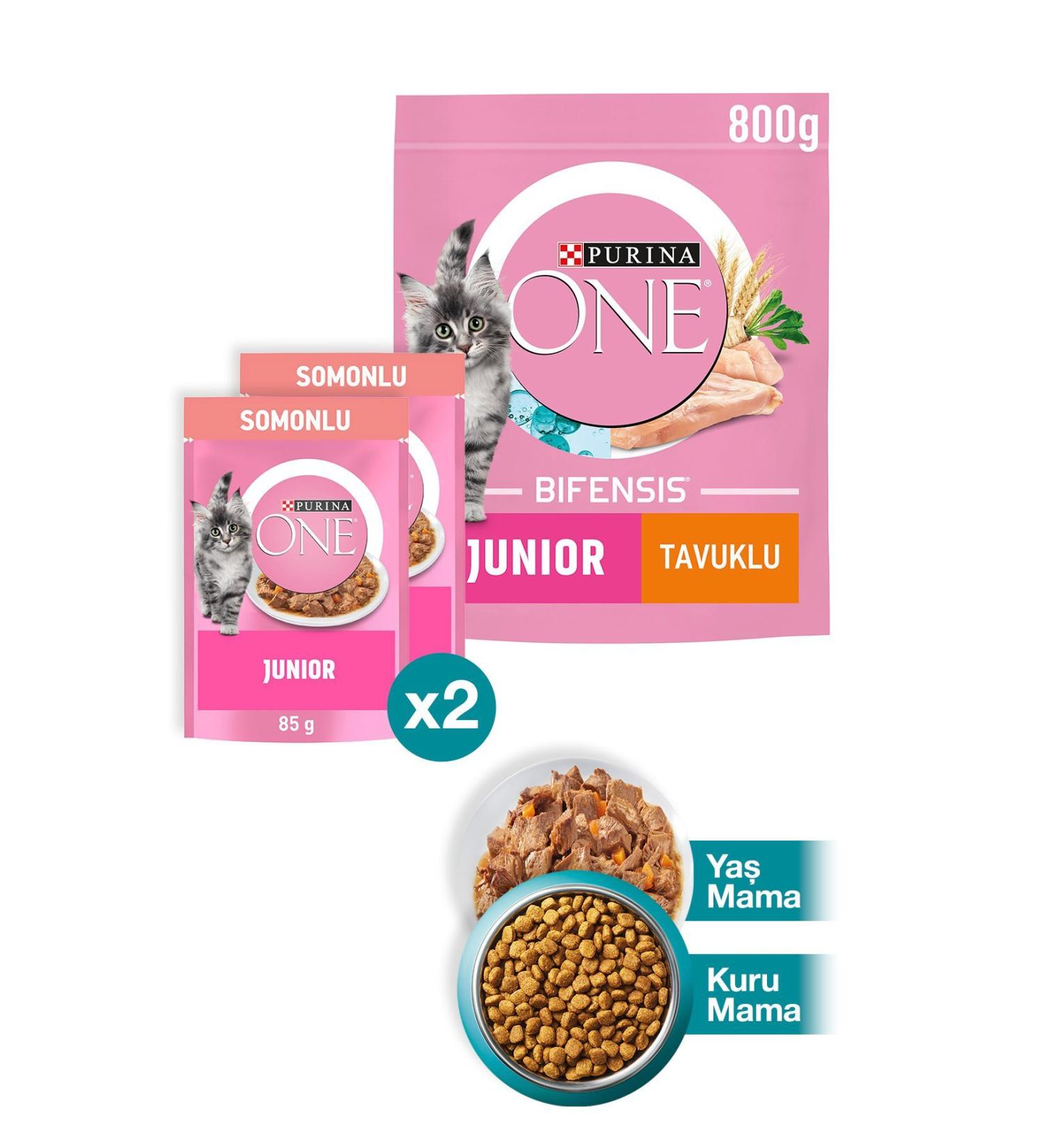 teknotrust Junior Chicken Kitten Cat Food 800g + Junior Salmon Wet Kitten Cat Food 2x85g