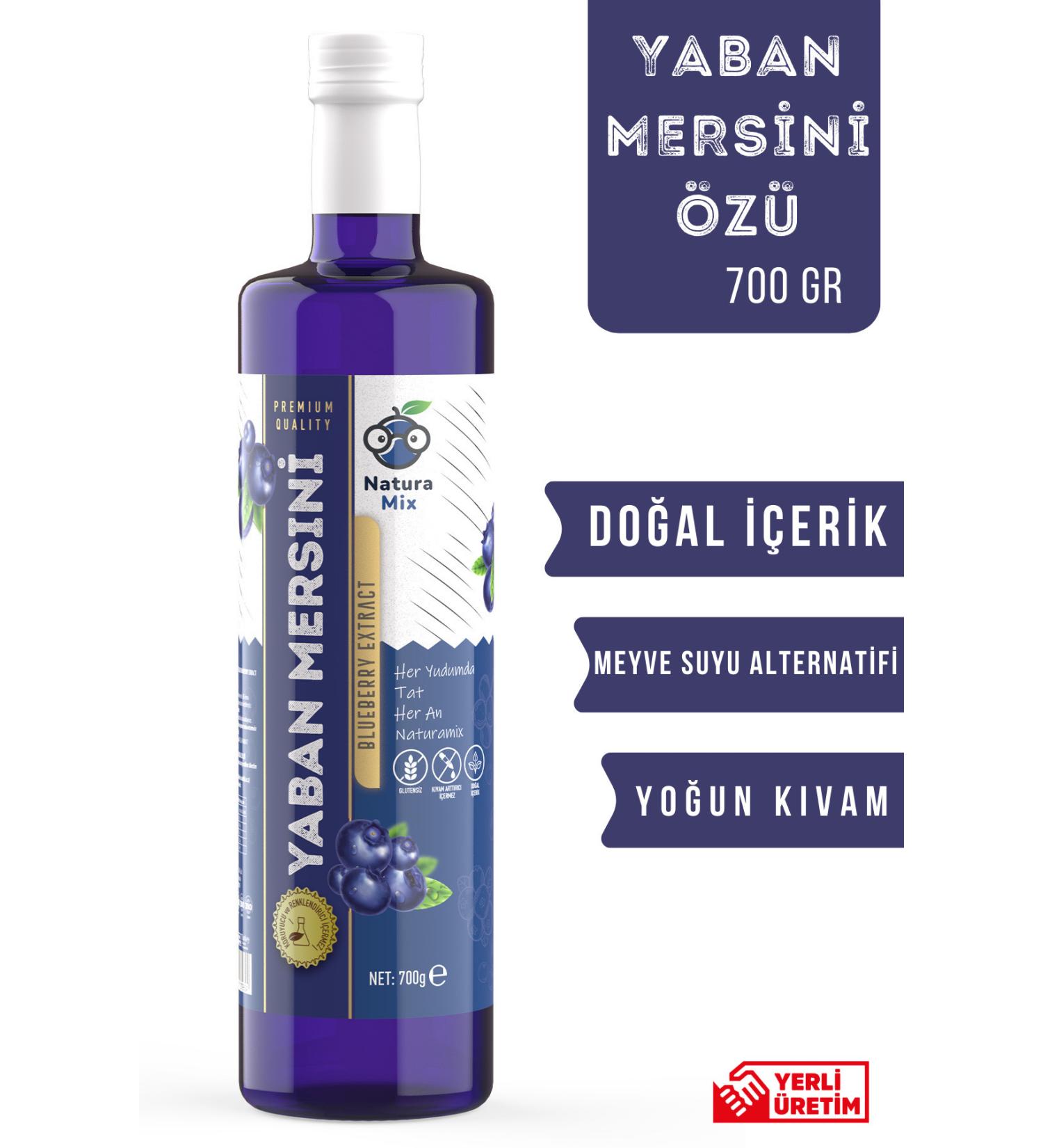 NaturaM X Blueberry Extract 700 Gr