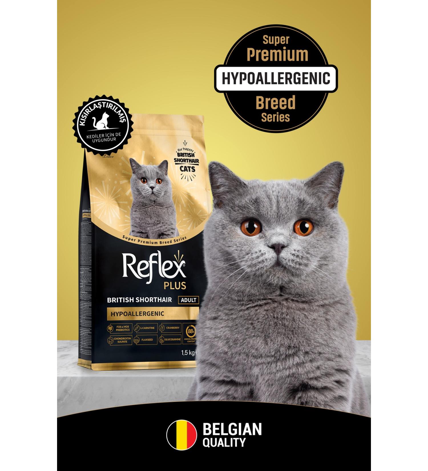 Reflex Plus British Shorthair Adult Cat Food 1.5 Kg - Buy Online on GoSupps.com
