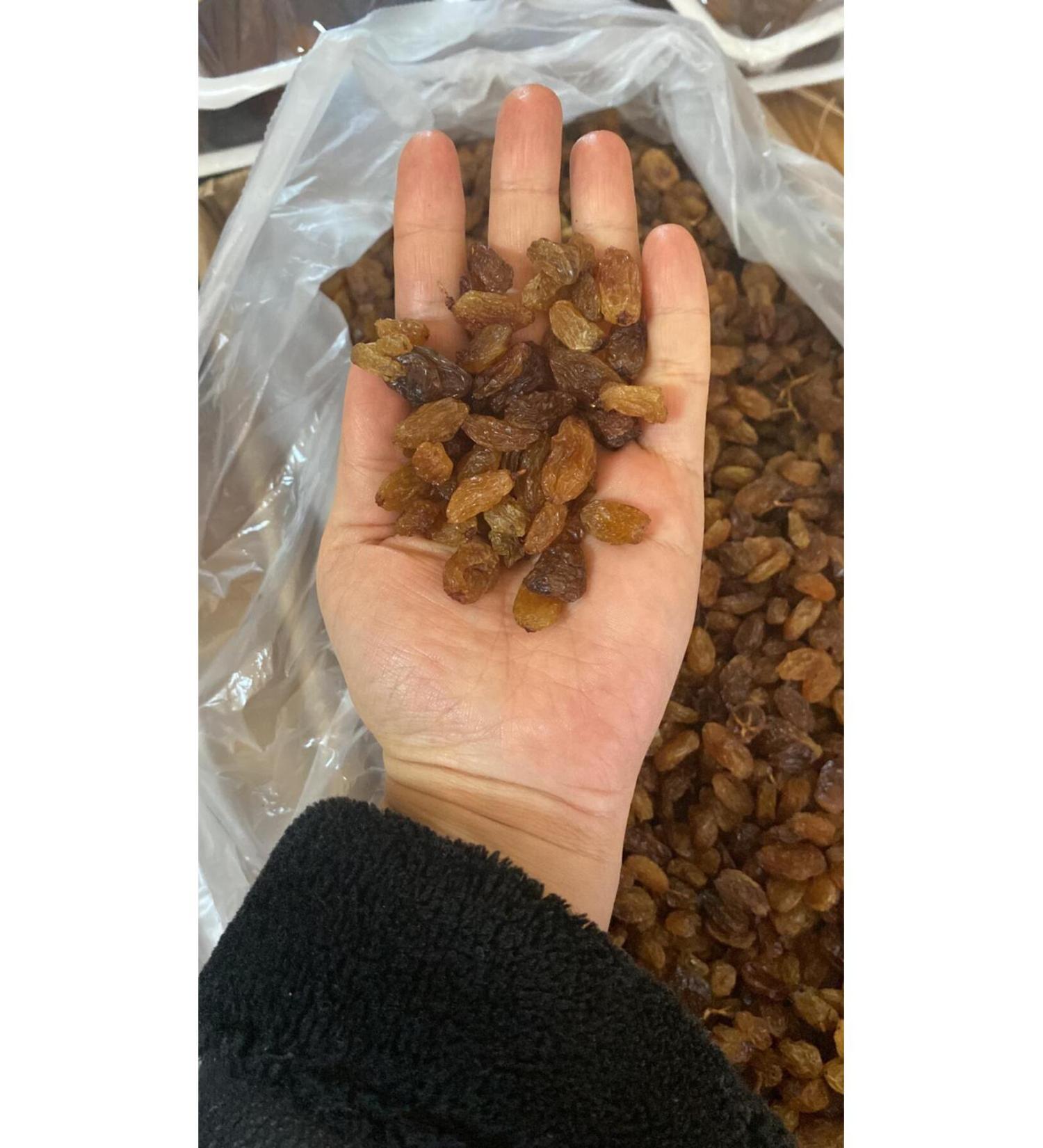 Raisins 500 Gr Yellow Raisins from Manisa