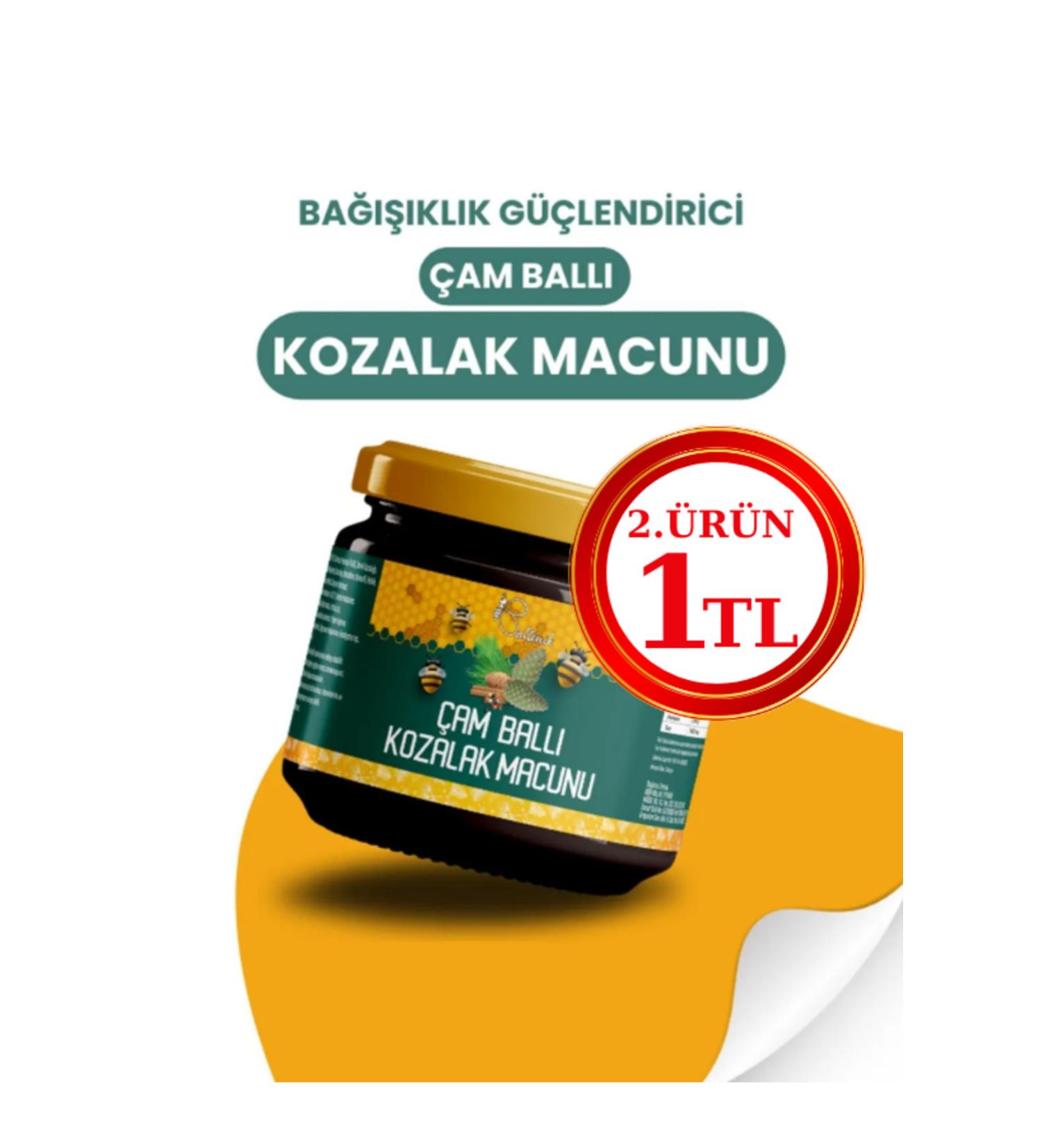 Baltonik Special Pine Cone Paste Mixture with Royal Jelly and Honey - Buy Online on GoSupps.com