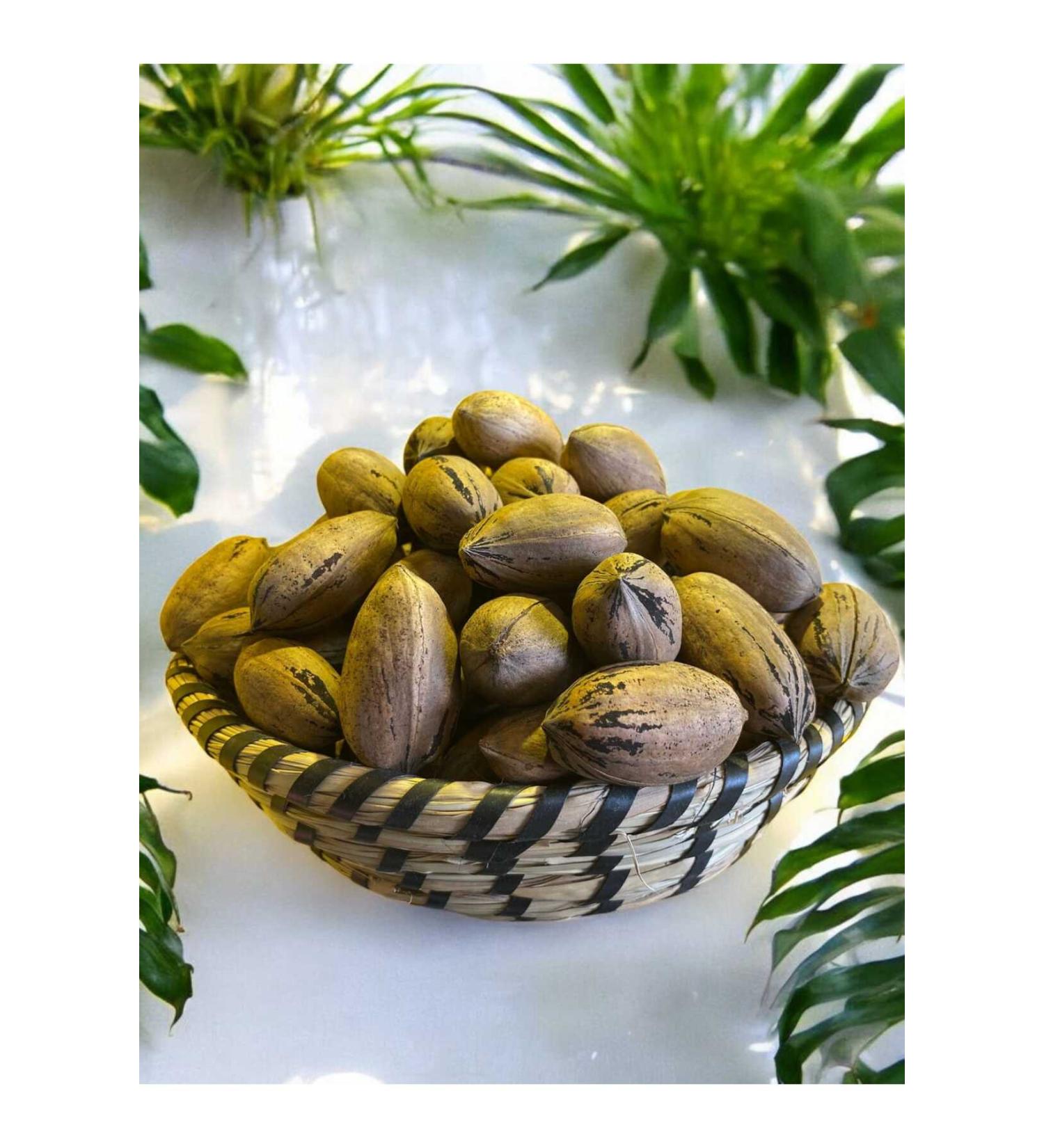 Anamur PECAN NUT 1 KG