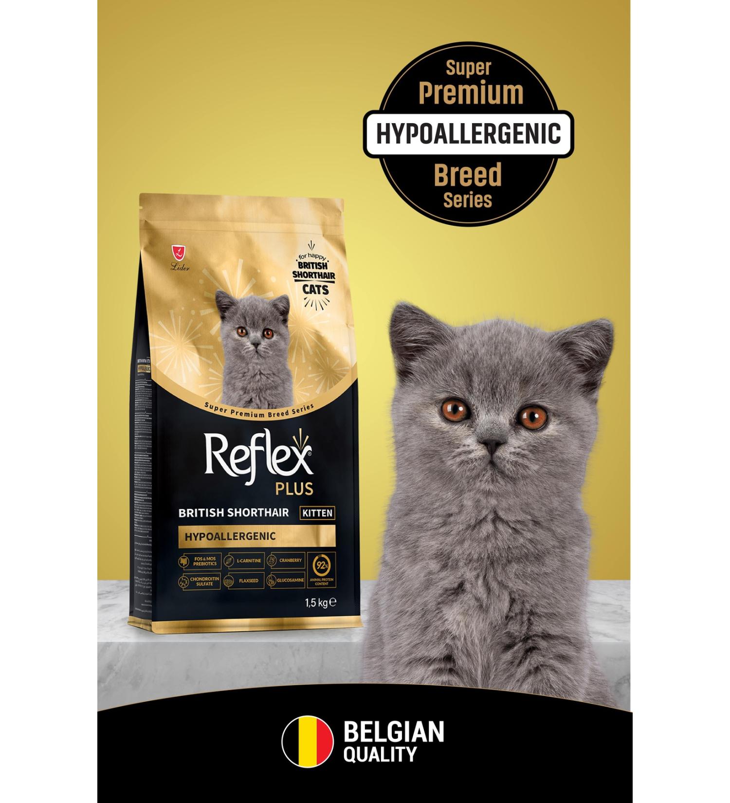 Reflex Plus British Shorthair Kitten Cat Food 1.5 Kg - Buy Online on GoSupps.com