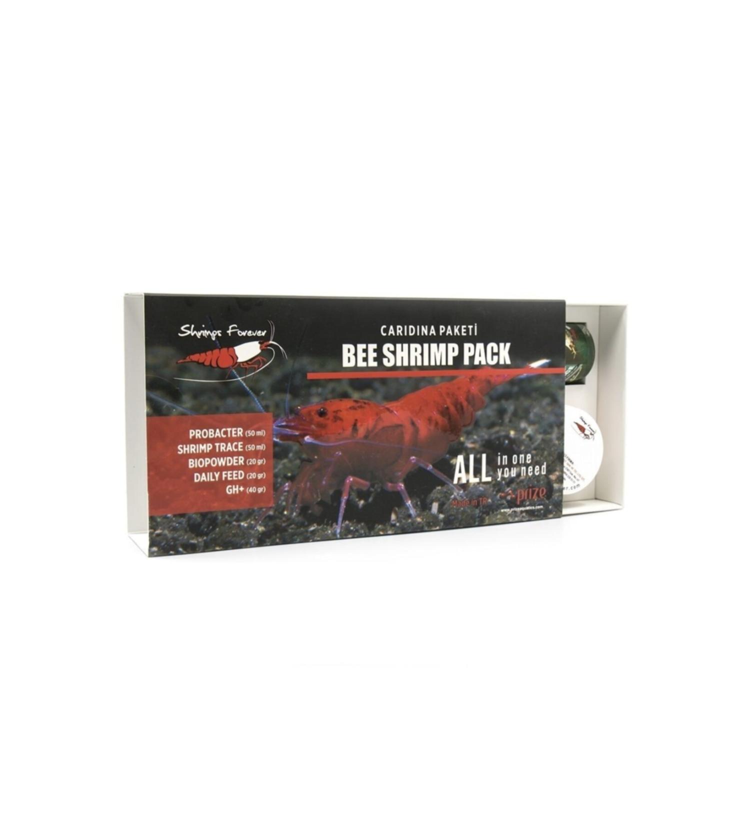 ShrimpsForever Caridina Sp Starter Pack