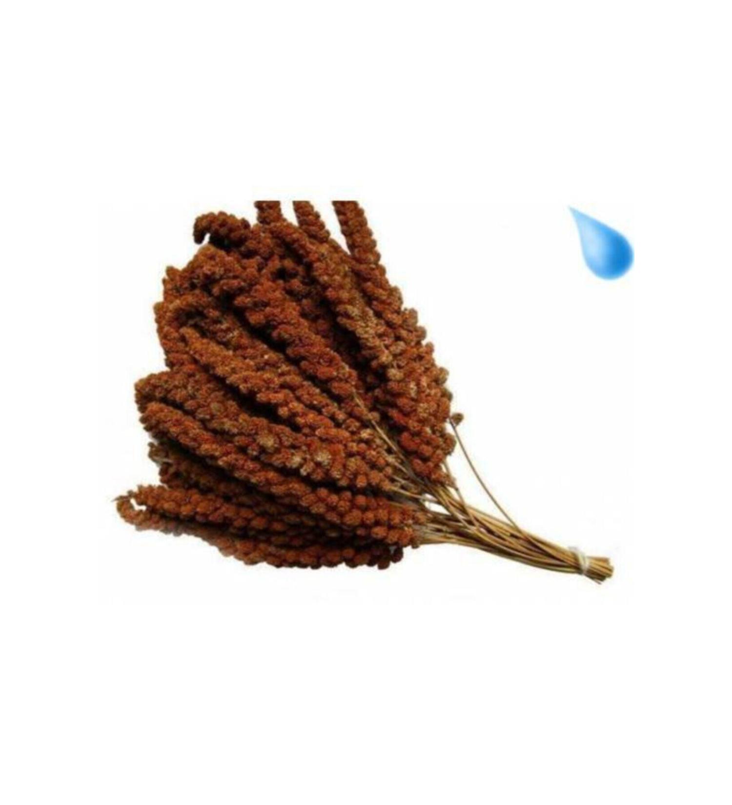 Krax Red Millet 1 Kg