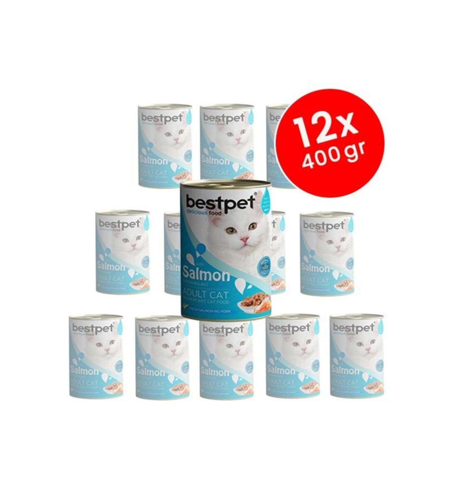Bestpet Adult Cat Canned Food with Salmon Jelly 12x400 Gr