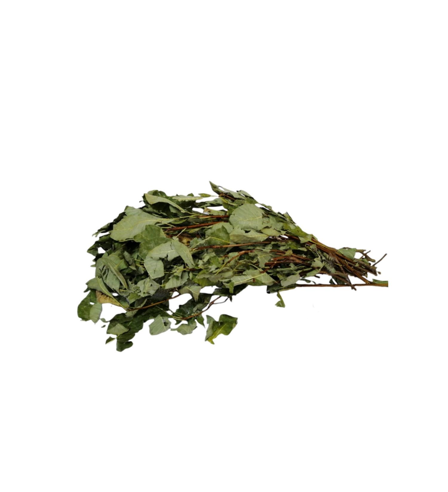 Aktarzane Tetra Leaf 500 gr