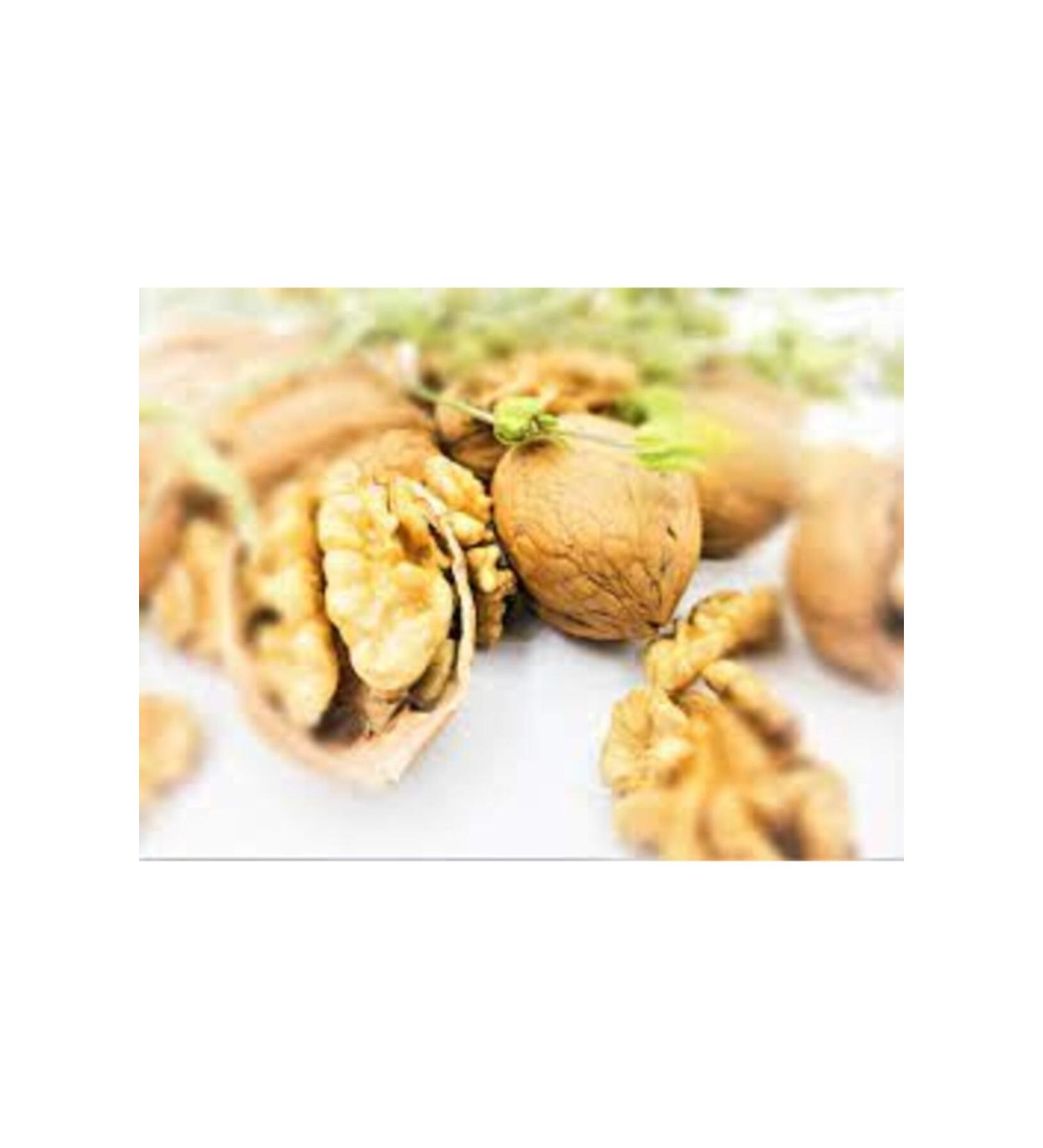 Mara Grafted Walnut 1st Class Thin Shell 500 Gr.