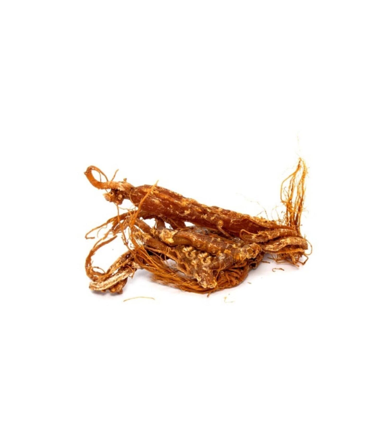 Aktarzane Red Ginseng Root 20gr