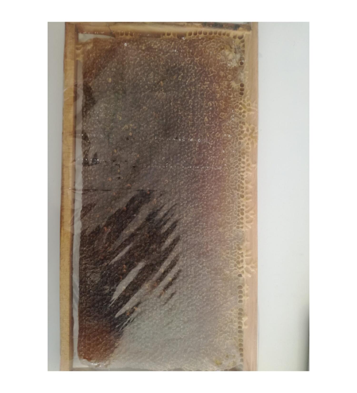 OZMU BAL Huge Campaign from Honey Producer Retail Sale at Wholesale Price Lath 3 kg