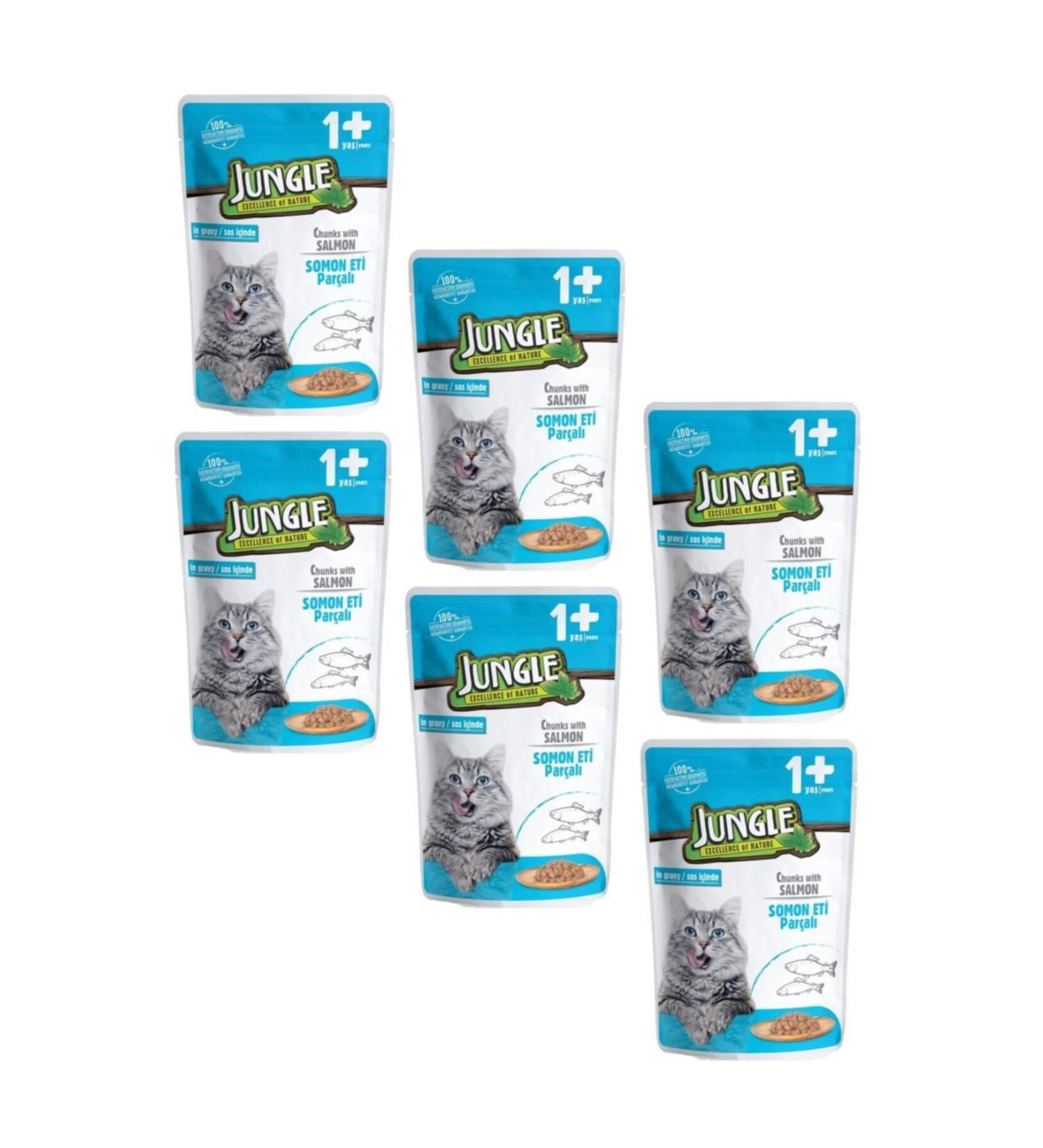 Jungle Pouch Cat Food with Salmon and Gravy Sauce 100 gr X 6 Pieces