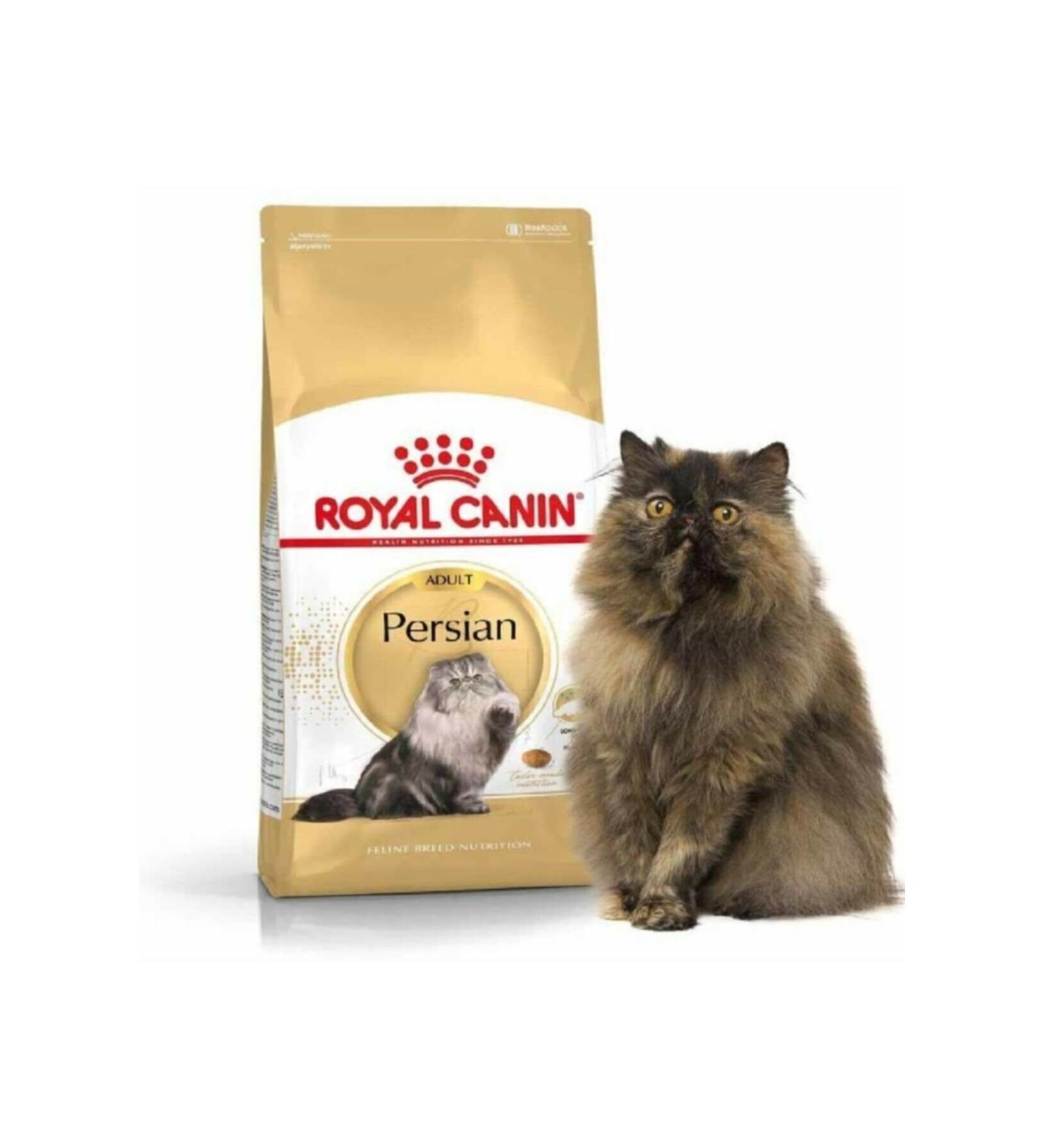Royal Canin Persian Breed Special Kitten Cat Food 2 Kg Original