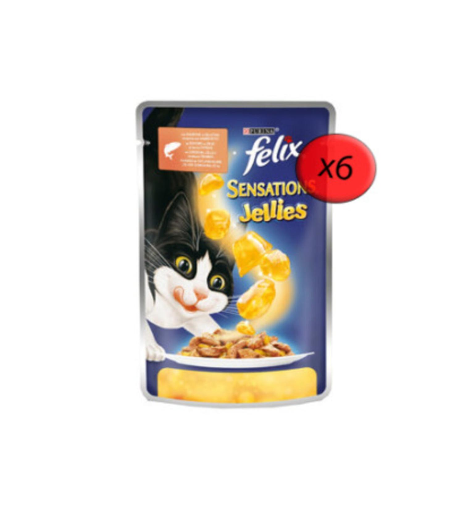 FELIX Chicken and Carrot Wet Food 6 Pack