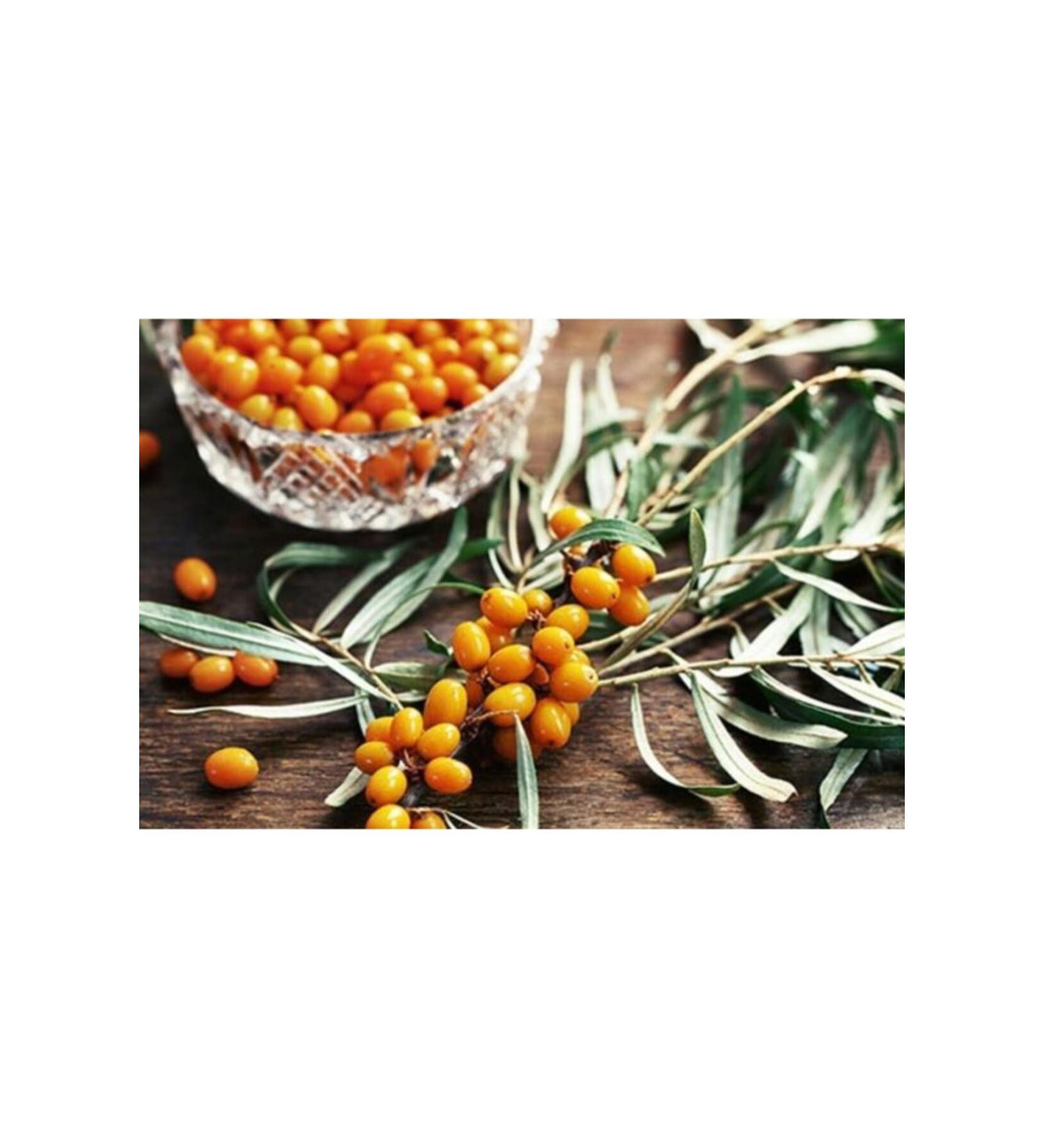 FAGIDA Wild Buckthorn 250gr (false buckthorn)