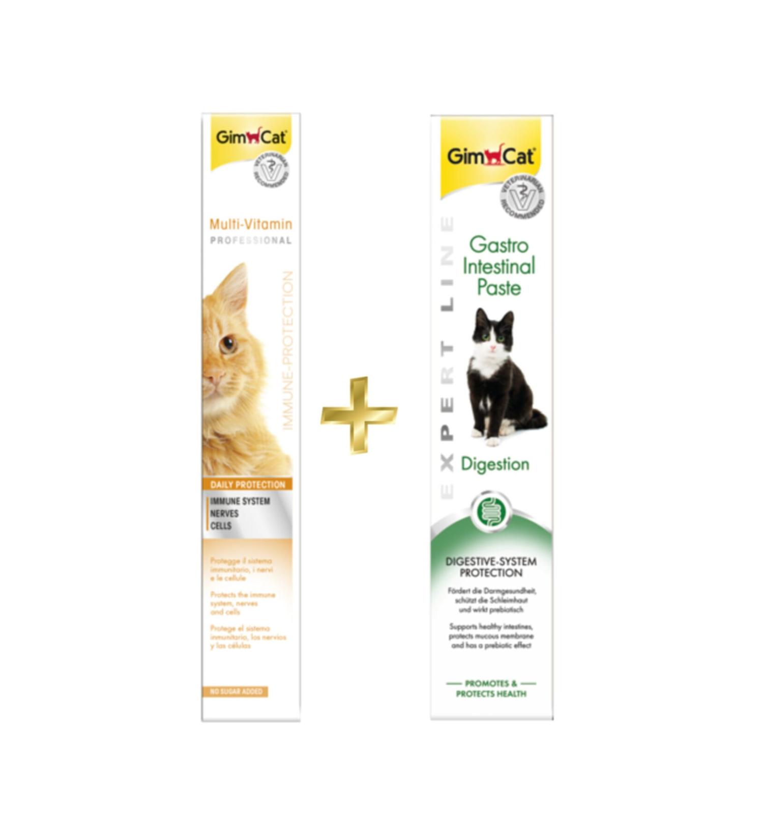 Gimcat Multivitamin Paste 100gr + Gastro Intestinal Paste Digestive Support 50gr