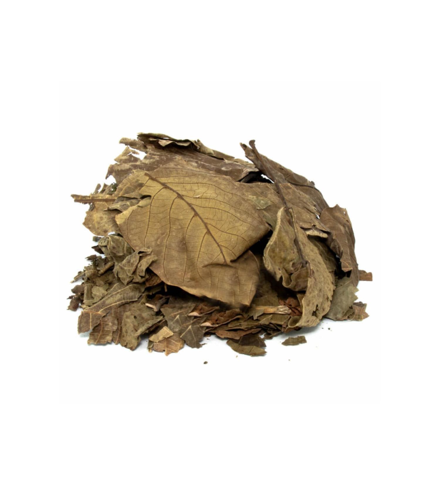 Aktarzane Walnut Leaves 1000gr