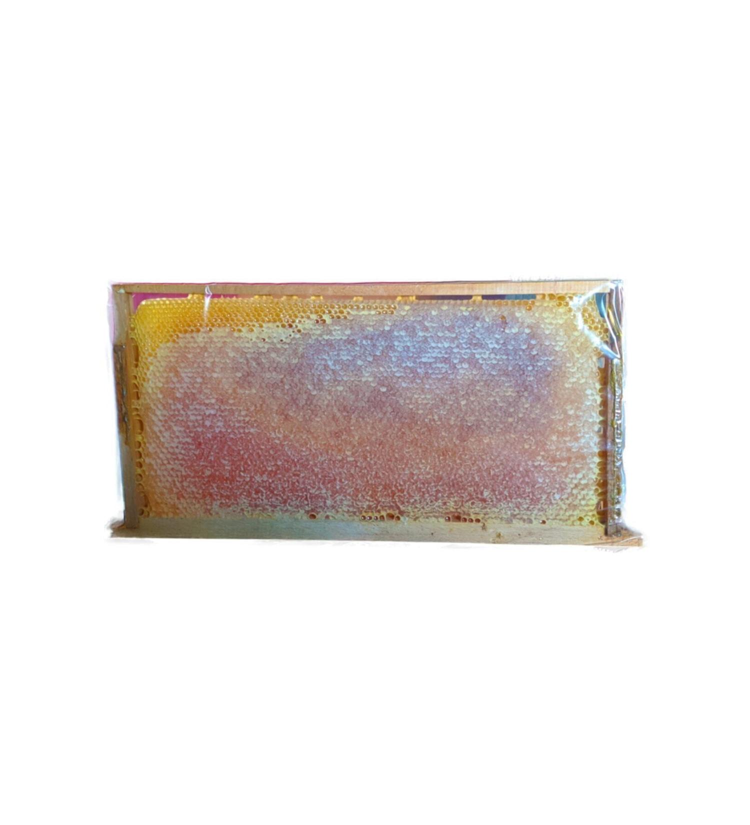 Honeycomb Honeycomb Honey Erzincan Region (3.5 KG)