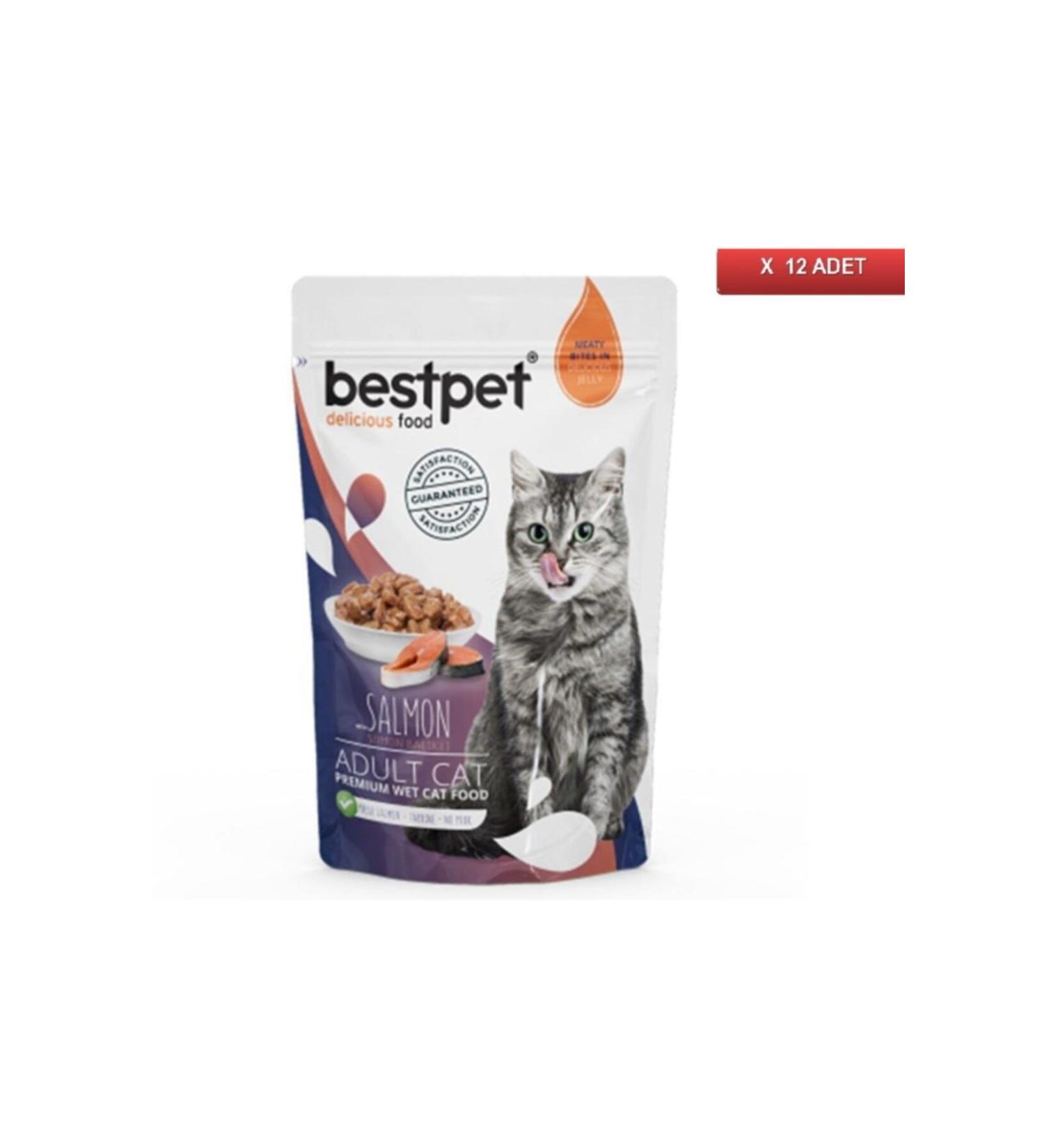 Bestpet Jelly Pouch Salmon Cat Food 85 Gr (12 Pieces)