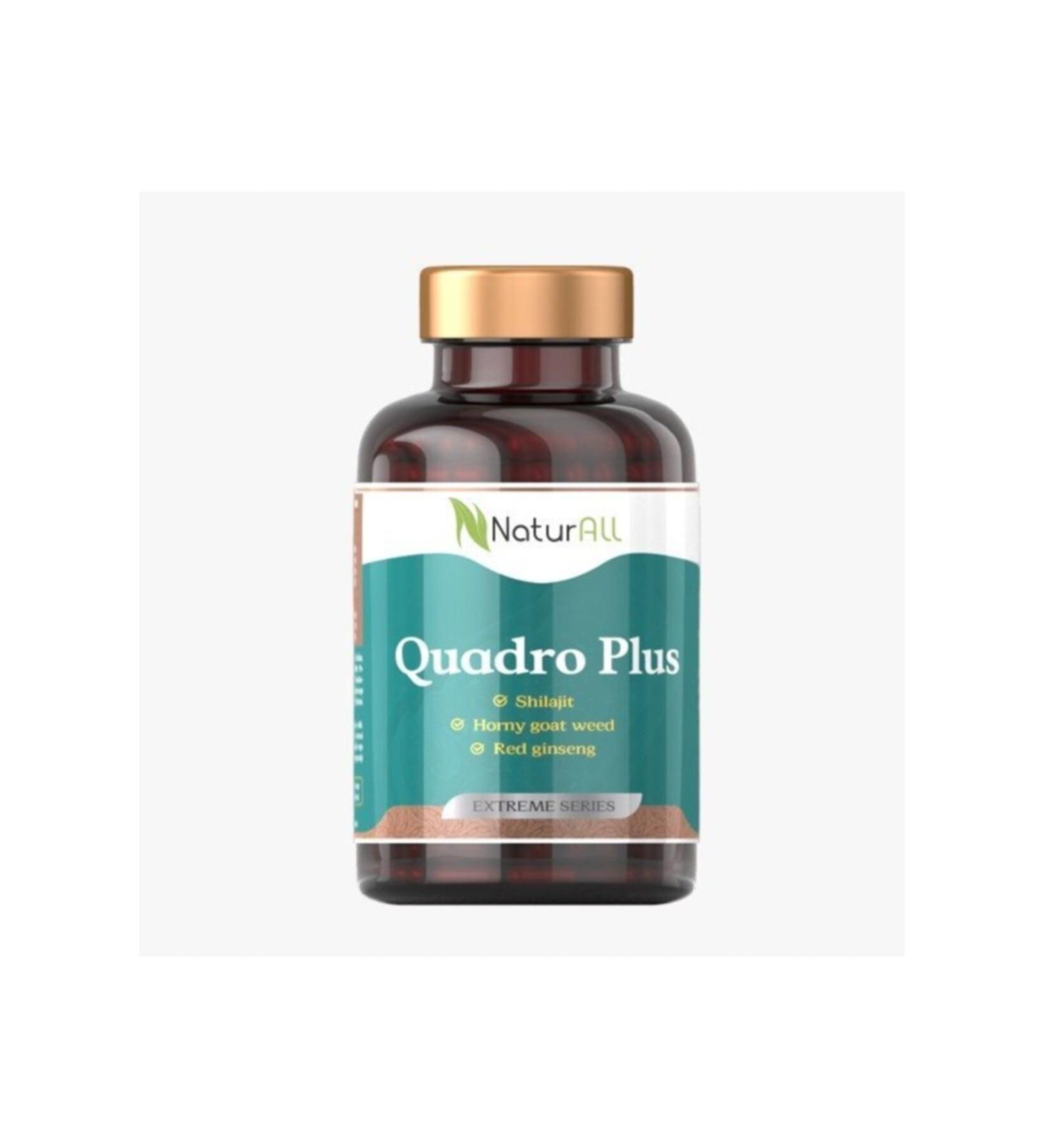 Naturall Quadro Plus Supplementary Food Containing Shilajit and Red Korean Ginseng - Herbal 90 Tablets