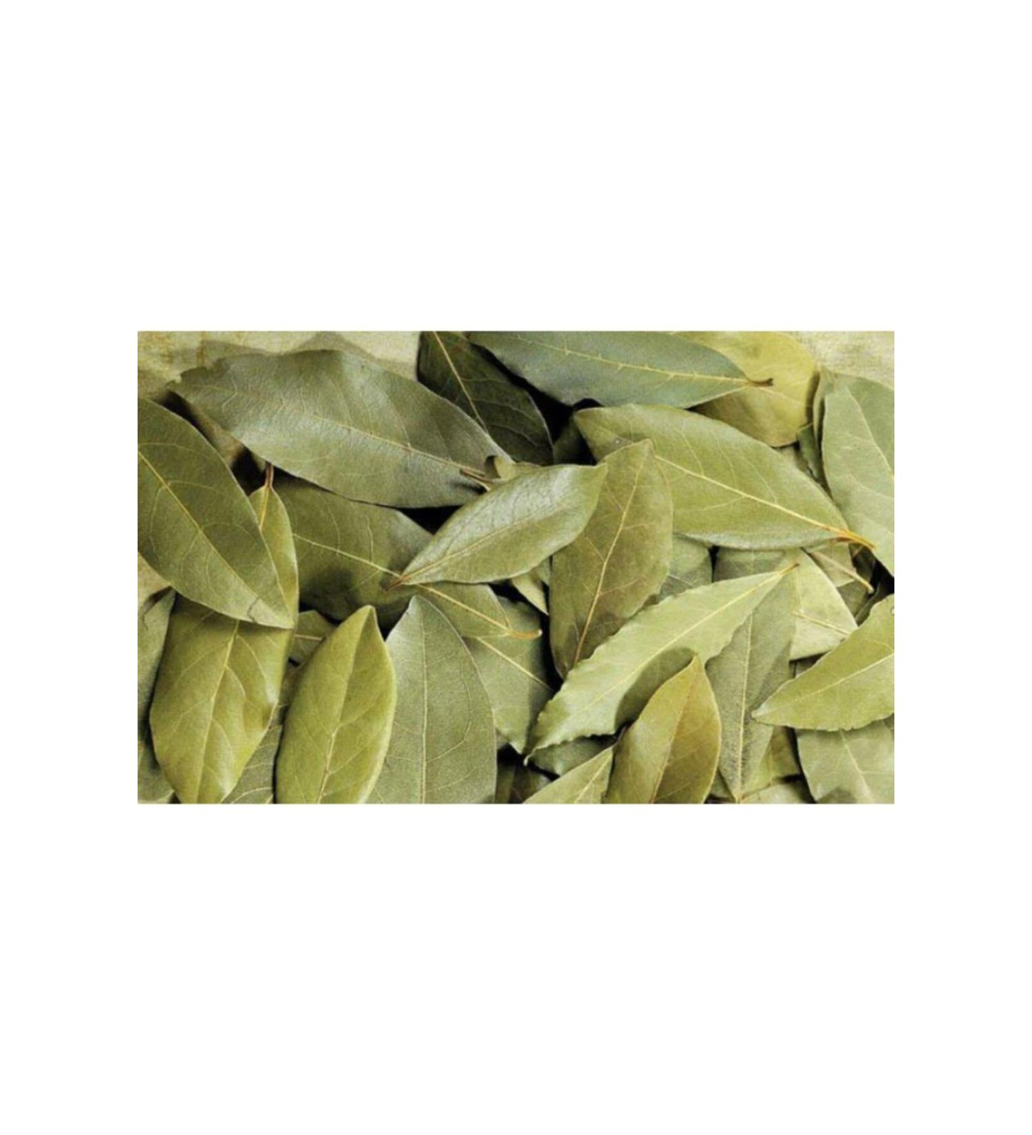 Gum Tree Krk Food Bay Leaf 1 Kg