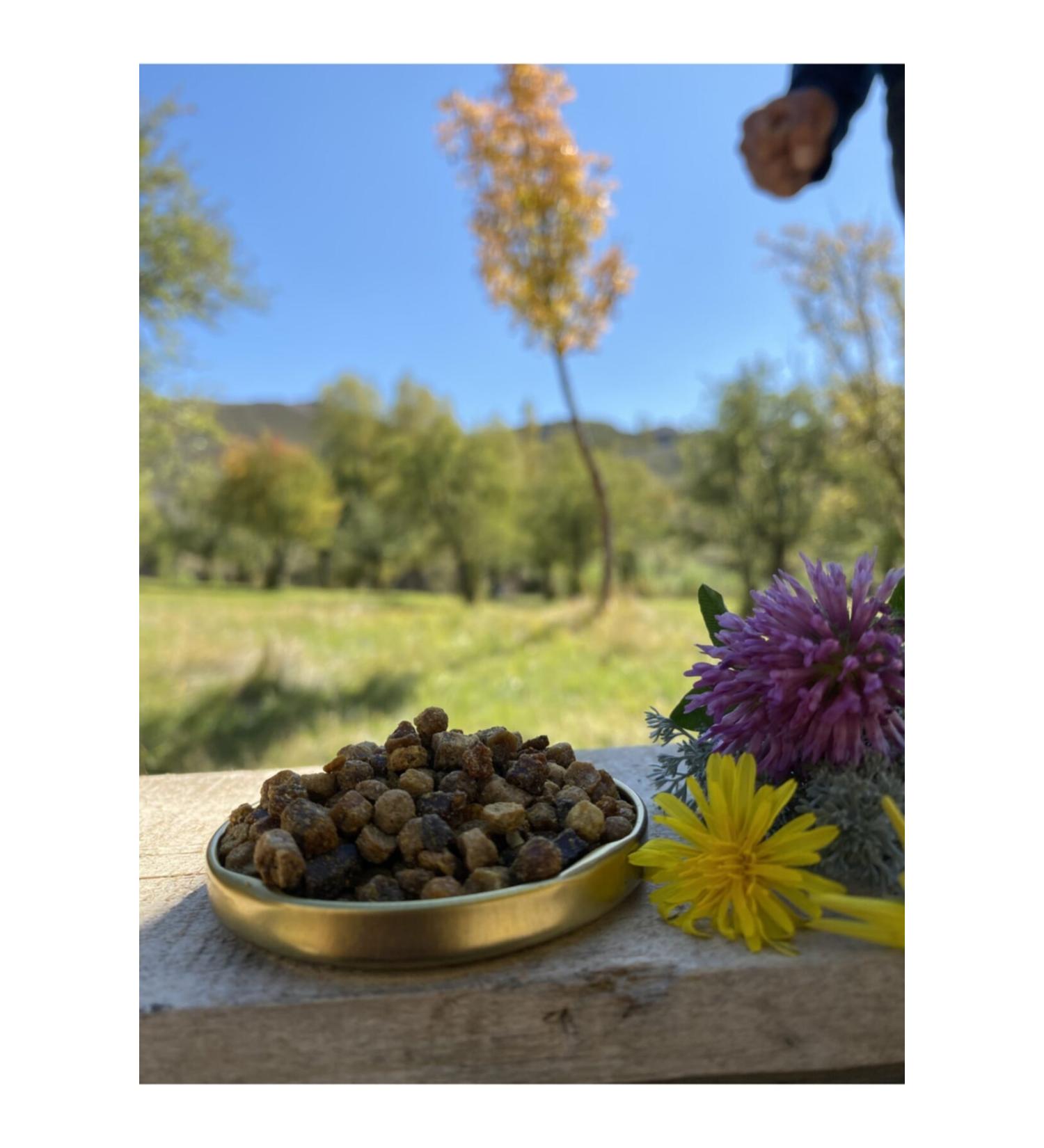 Come From The Village Bee Bread - 50 Grams