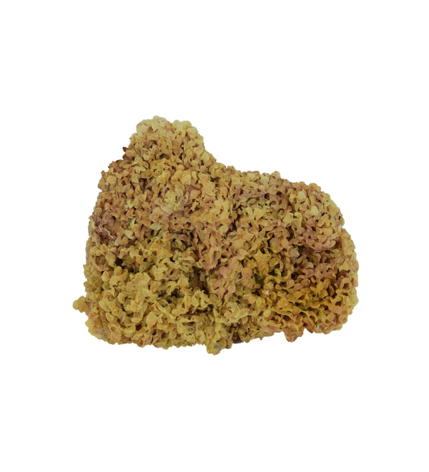 LokmanAVM Natural Local Sea Shredded Wheat 100 gr