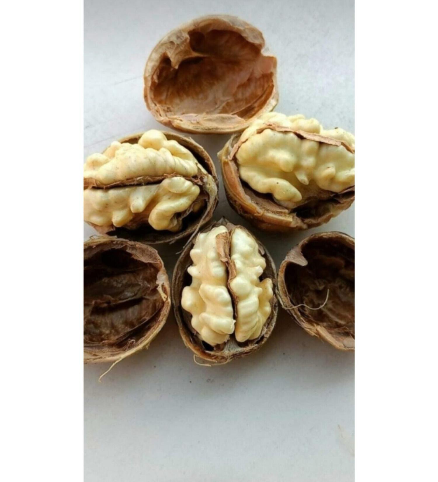 bahceviz Shelled Walnuts 5 kg - Buy Online on GoSupps.com