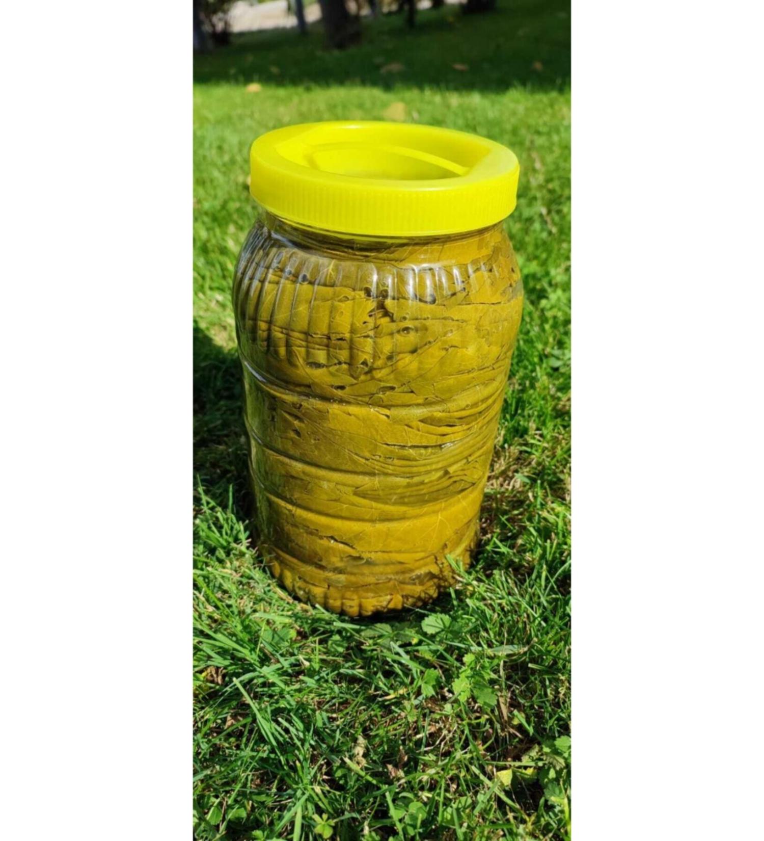 Emine Han m's leaves Tokat Erbaa Leaf 3kg Medium Size New Season 2024 - Buy Online on GoSupps.com