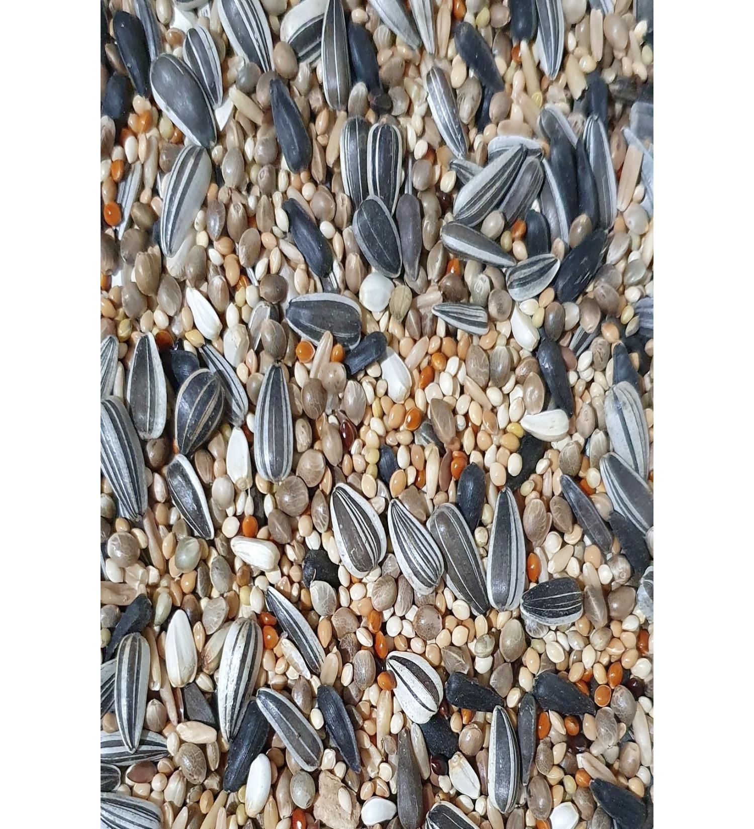 Ankara Feed House Cockatiel Food 5 Kg