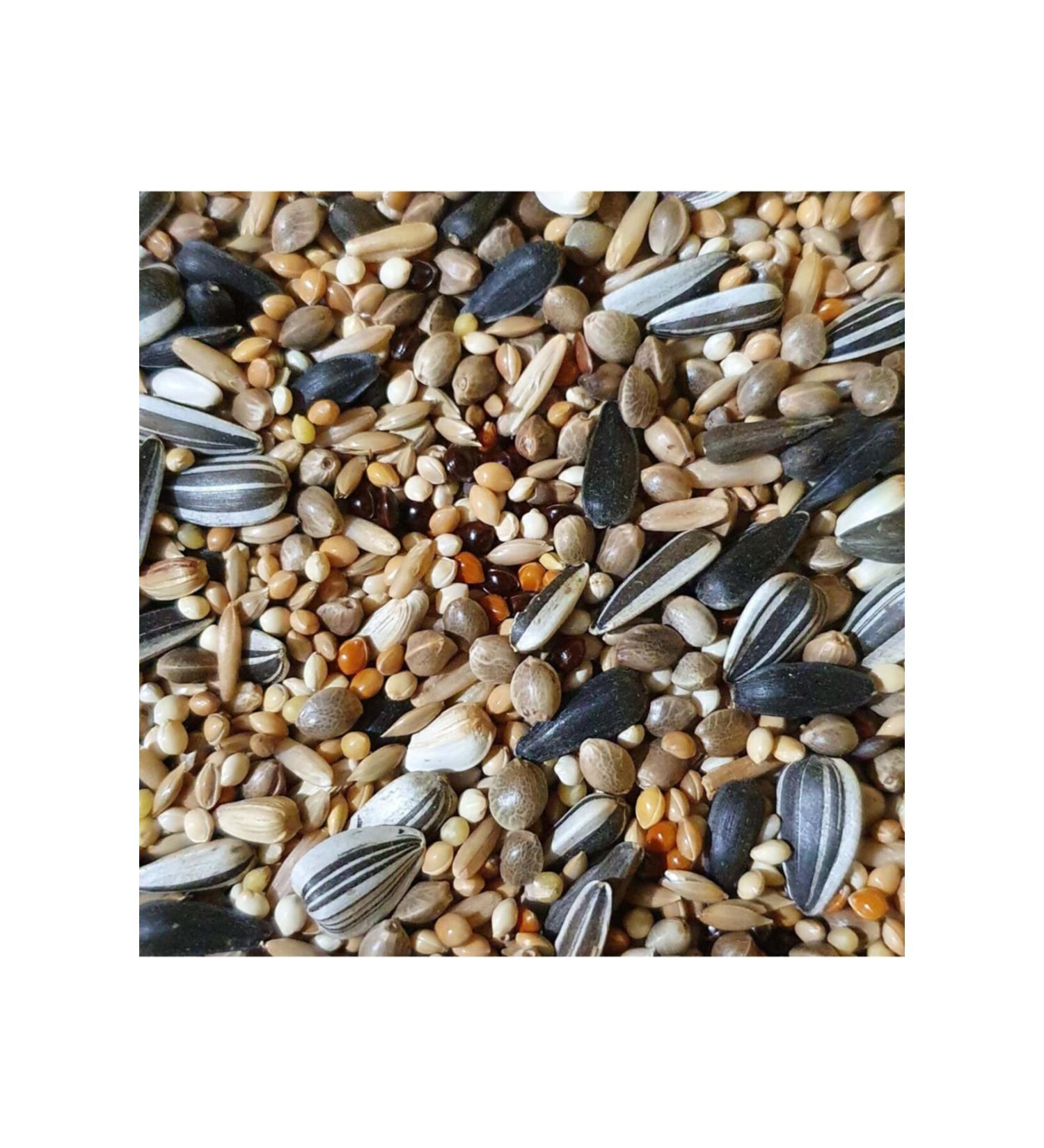 Ankara Feed House Cockatiel Lovebird Food 5 kg