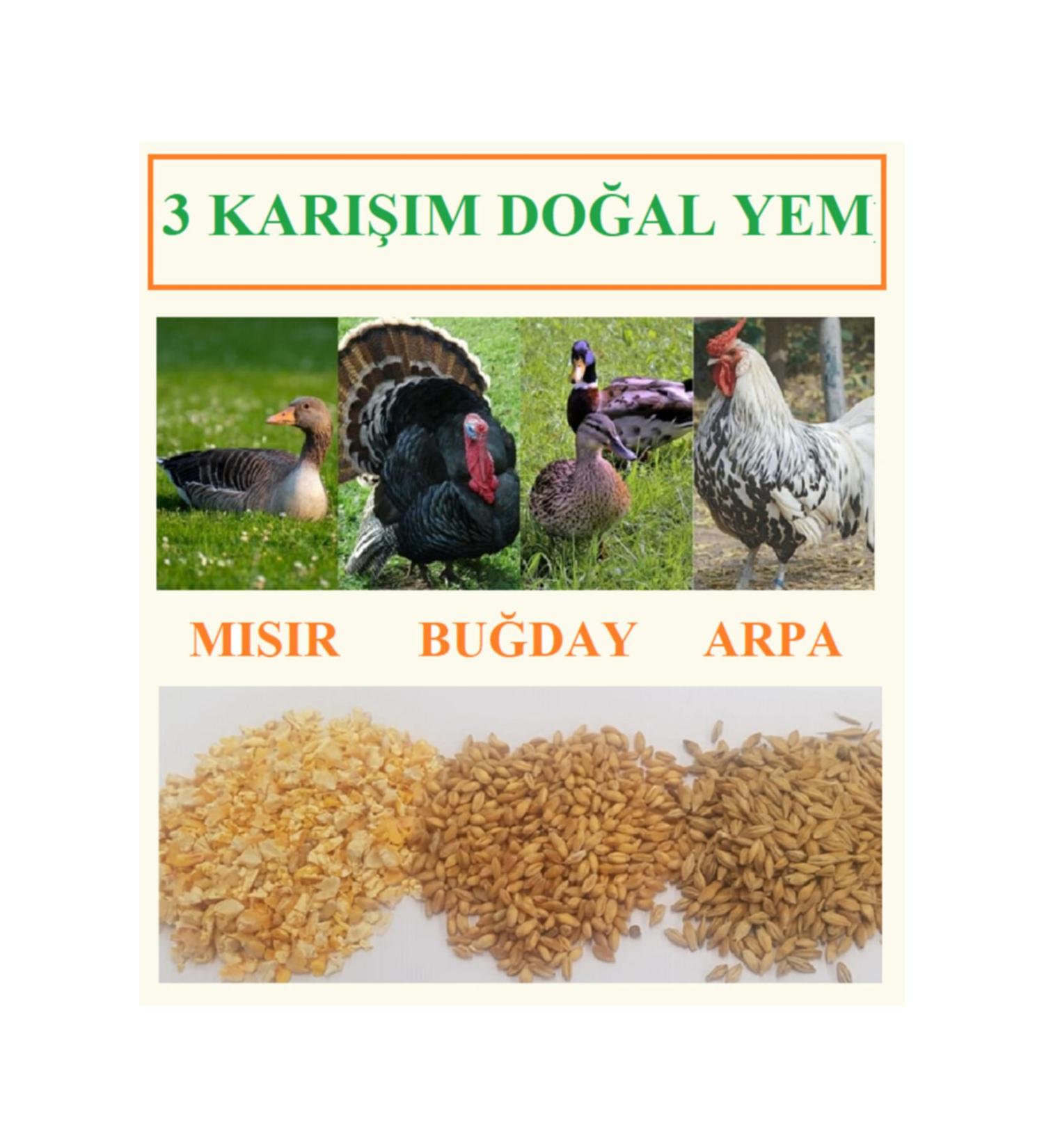 Ekodo a Wheat Cracked Corn Barley Mixture 10 Kg Chicken Feed Poultry Feed Goose Feed Natural Feed Poultry Feed