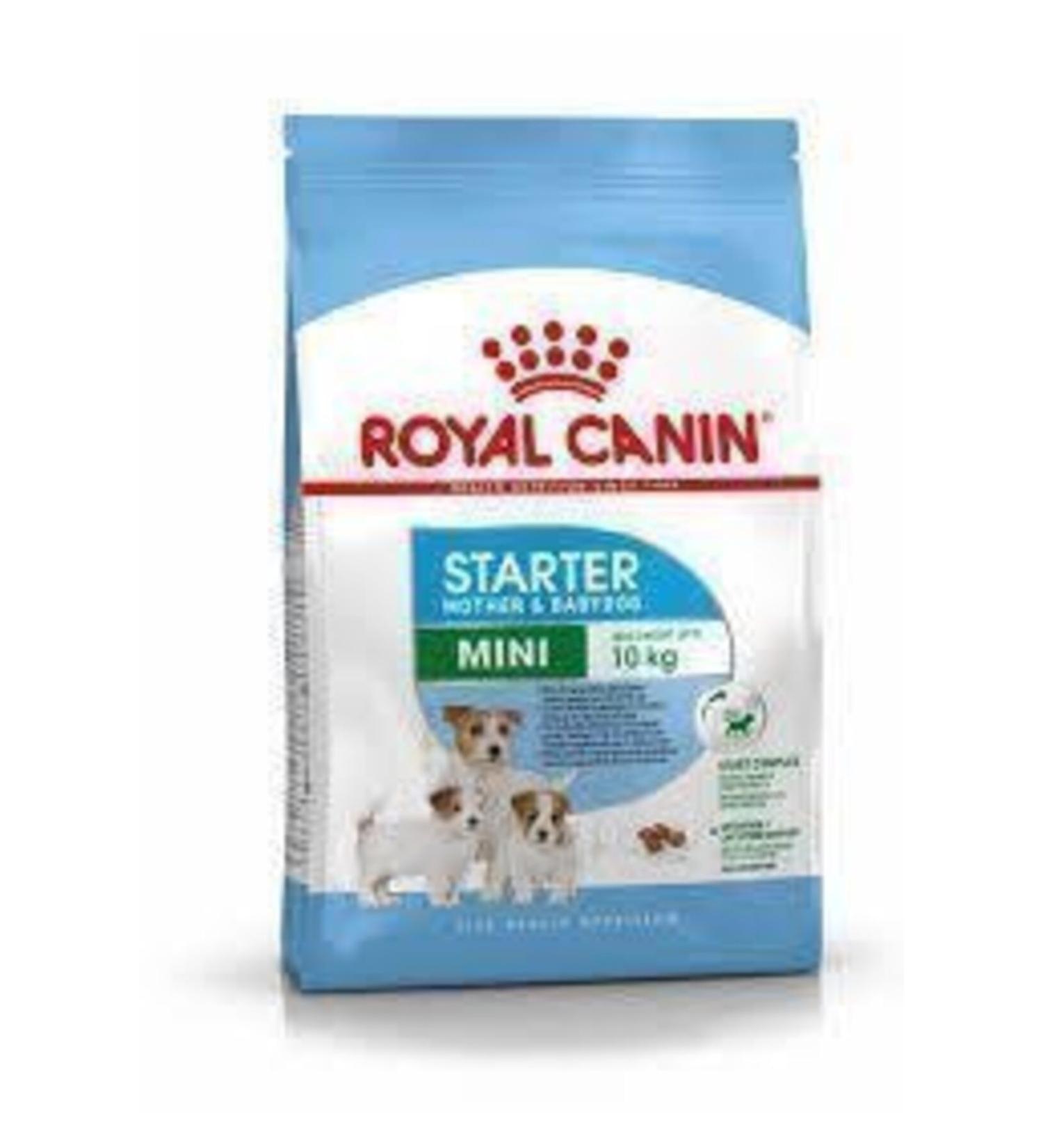 Royal Canin Mini Starter Mini Breed Dog Food for Pregnant Nursing Mothers and Puppies 3 Kg