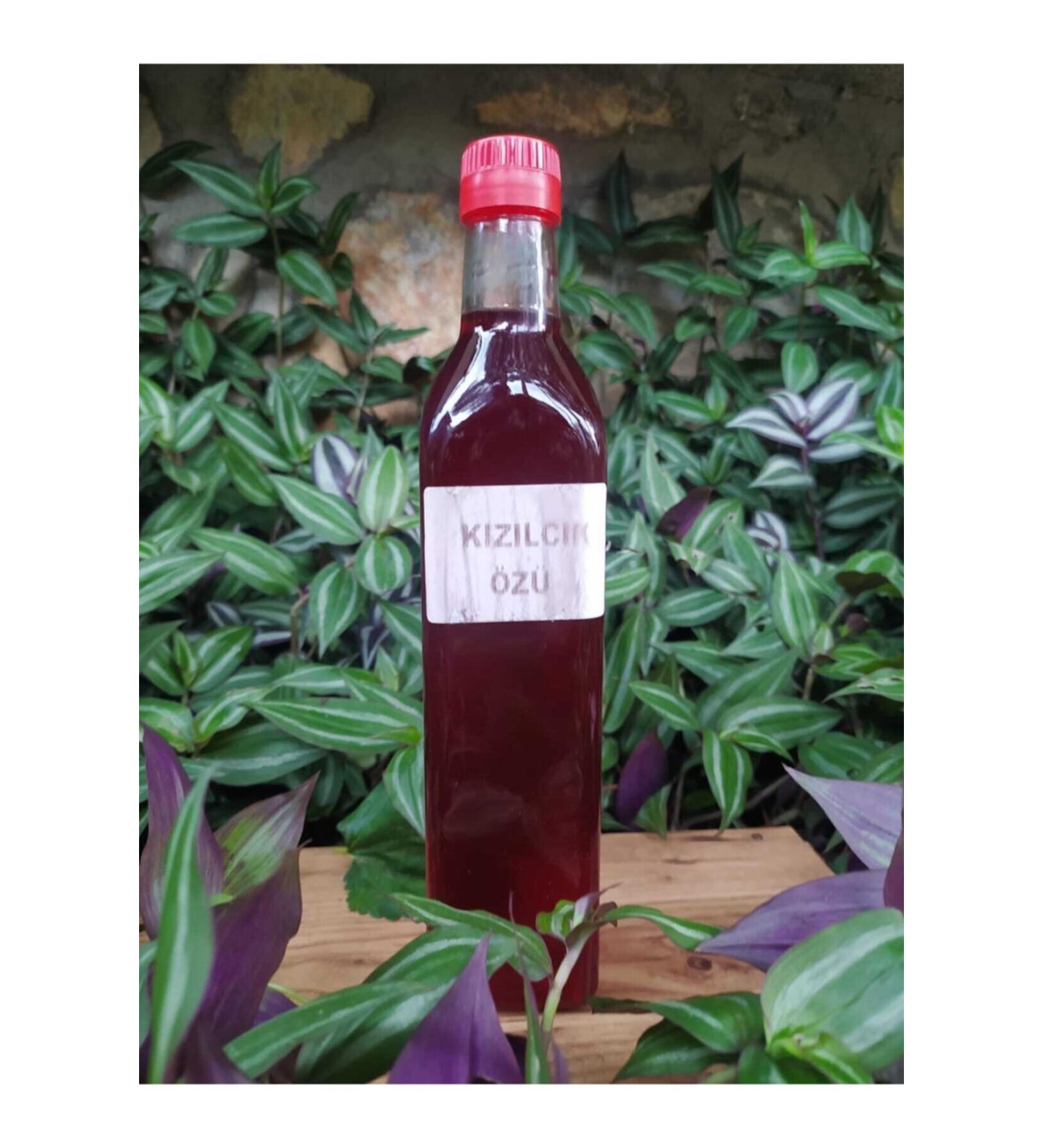 VILLAGE Cranberry Extract 900 Gr - Buy Online on GoSupps.com