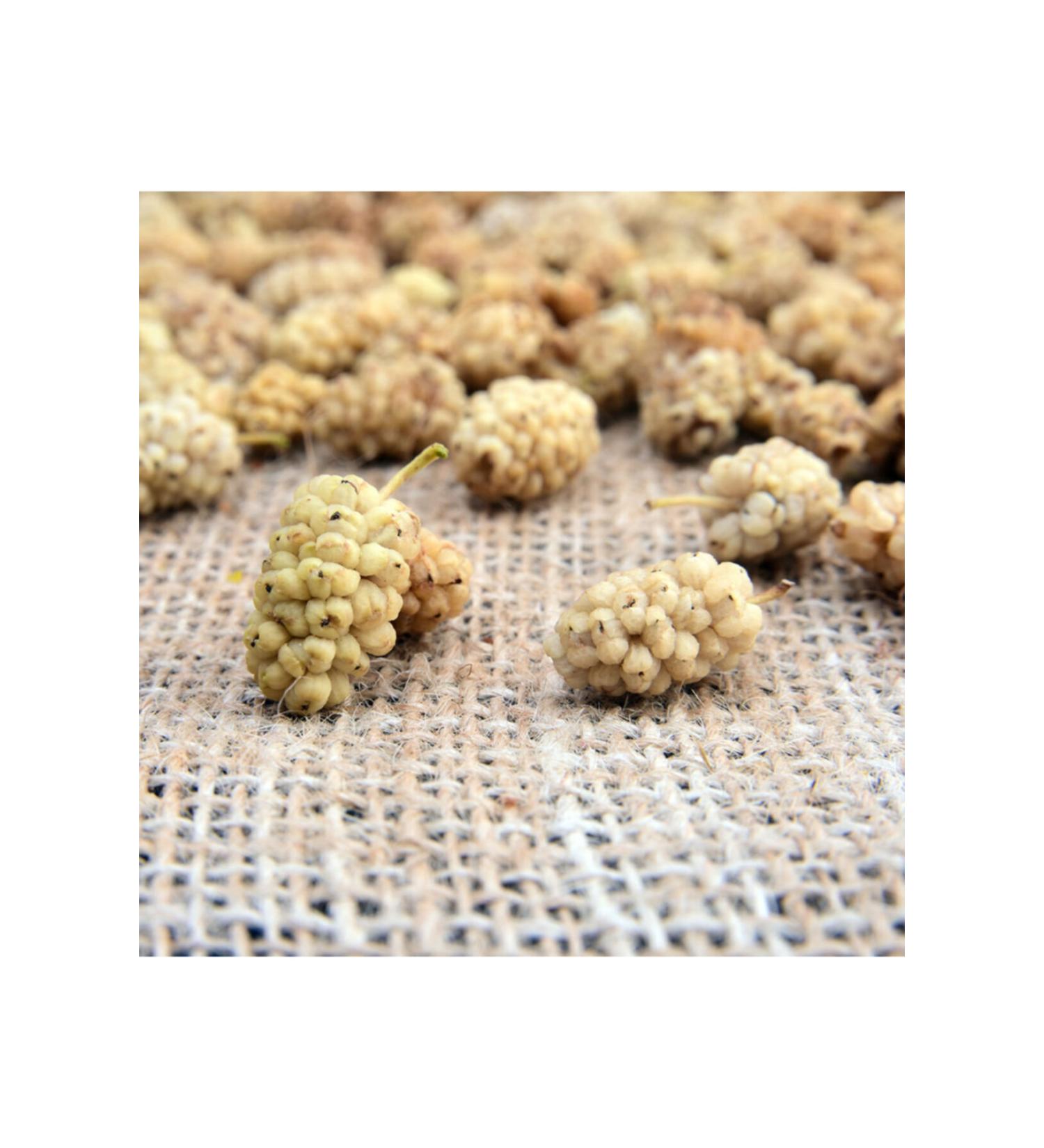Free Dried Nuts Mulberry Ulukale Locked Package 1000 gr