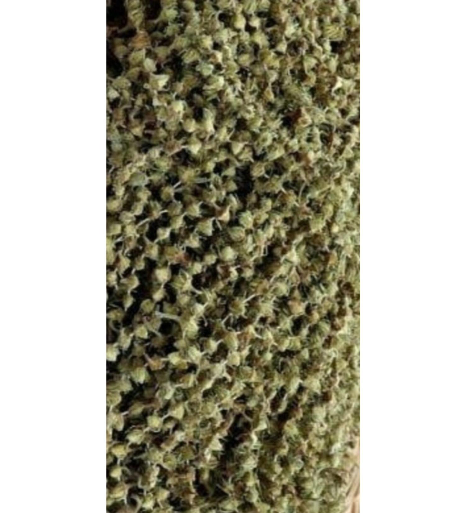 C ng Spice Dried Coffee Flower Okra