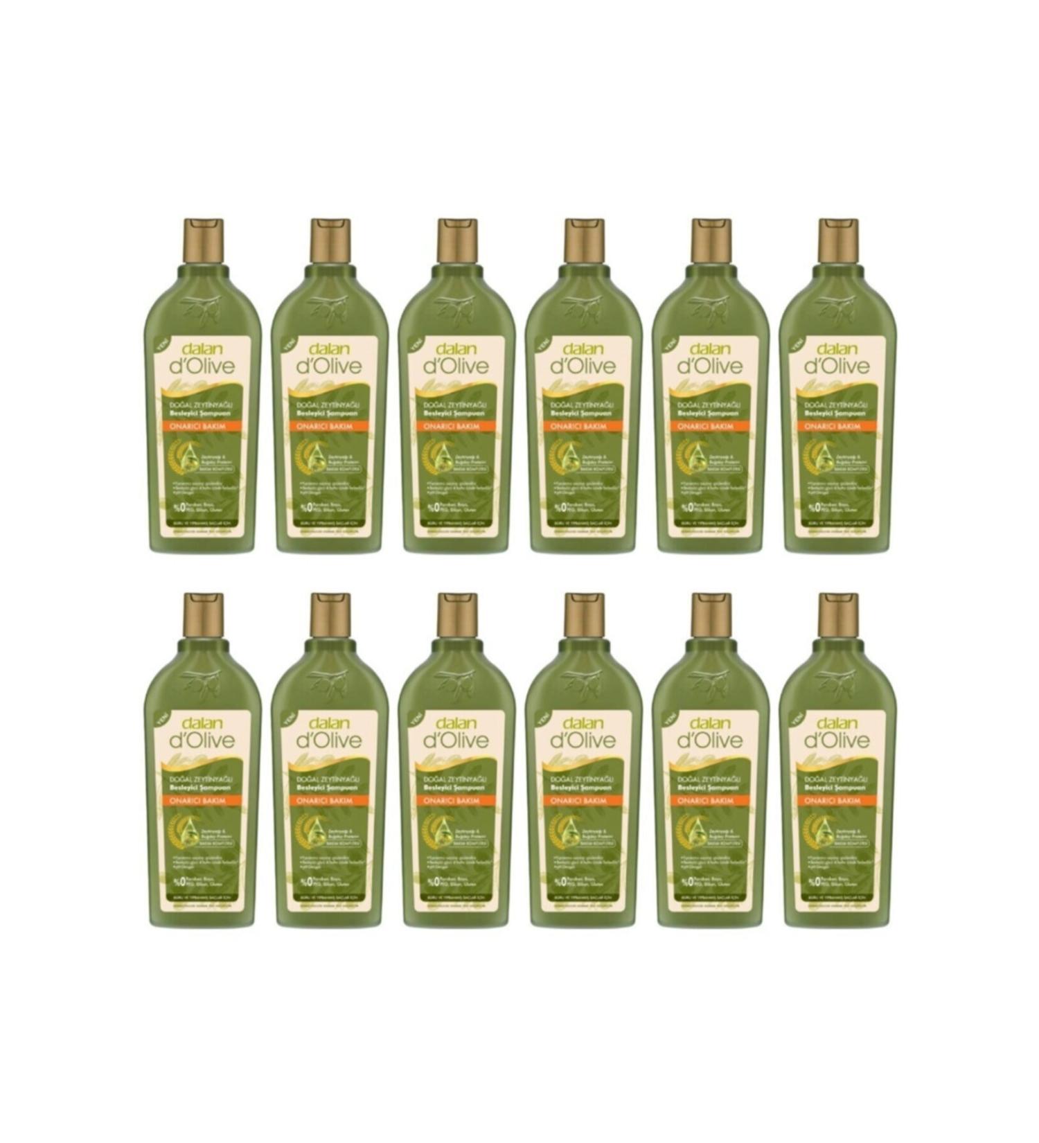 Dalan Repair Care Shampoo 400 ml 12 Pieces + Biota Shower Gel