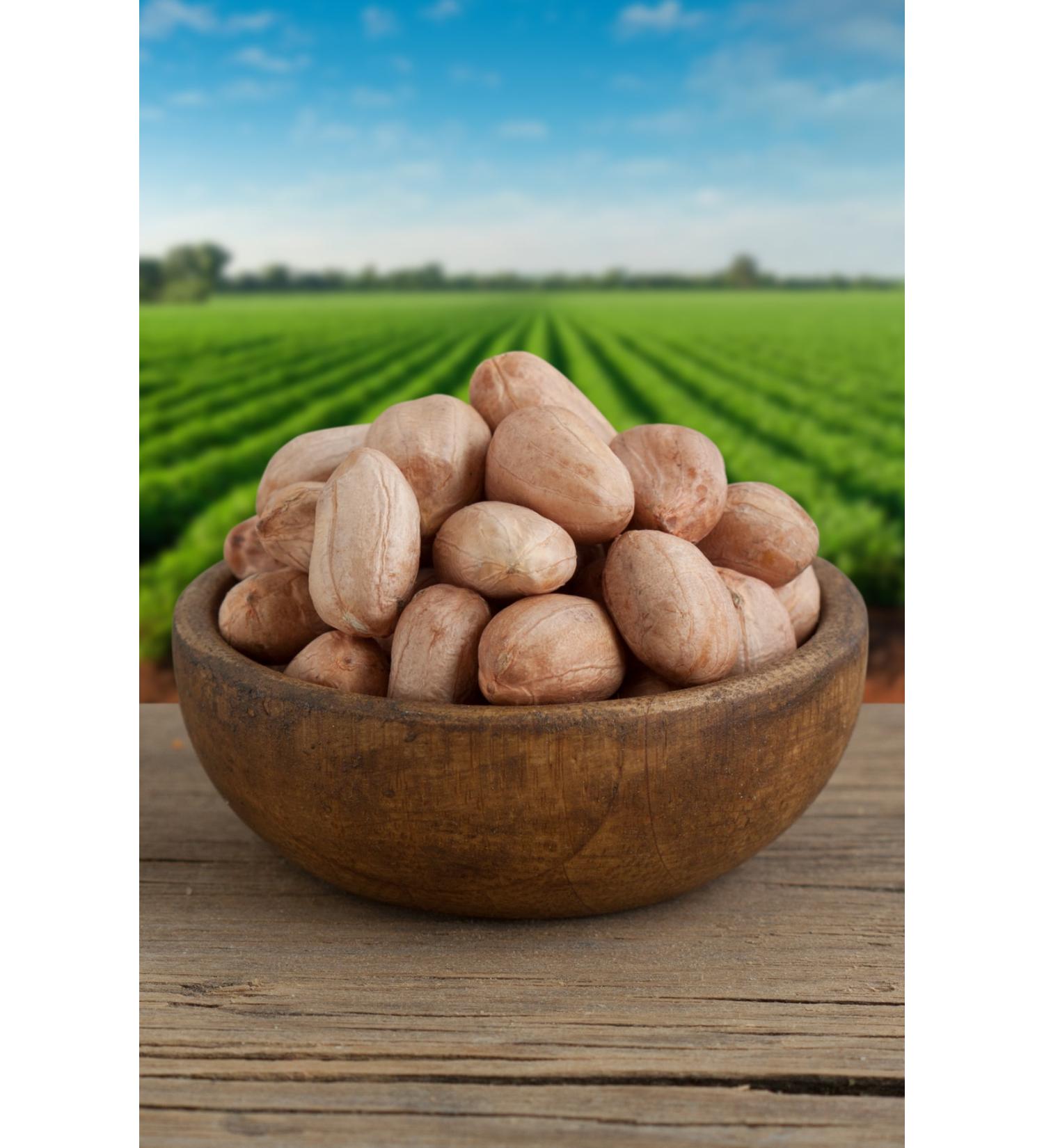 Haci Mumtaz Raw Pistachios 1000g