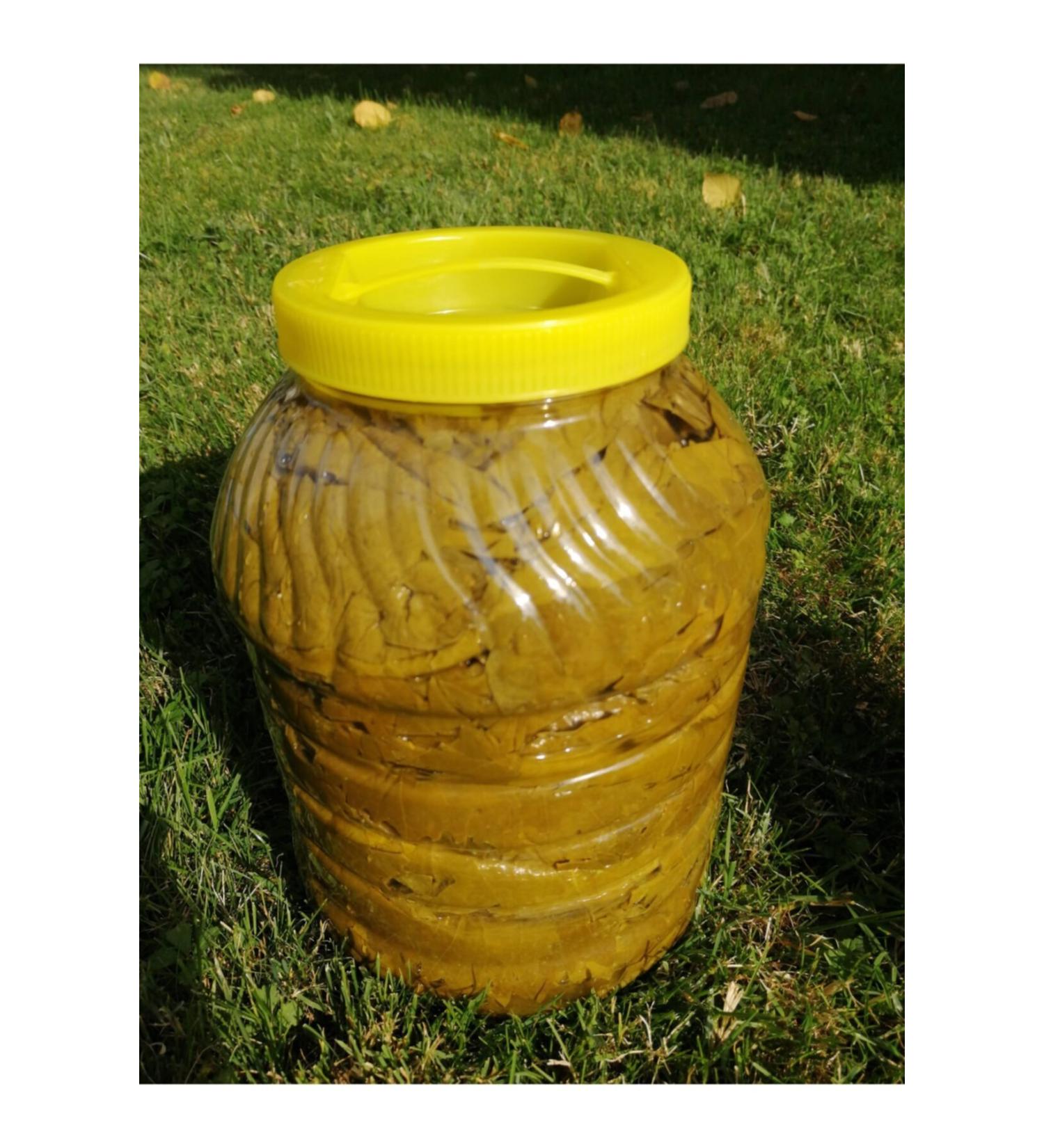 Emine Han m leaves 2024 Tokat Erbaa Pomegranate Leaf 5kg Medium Size - Buy Online on GoSupps.com